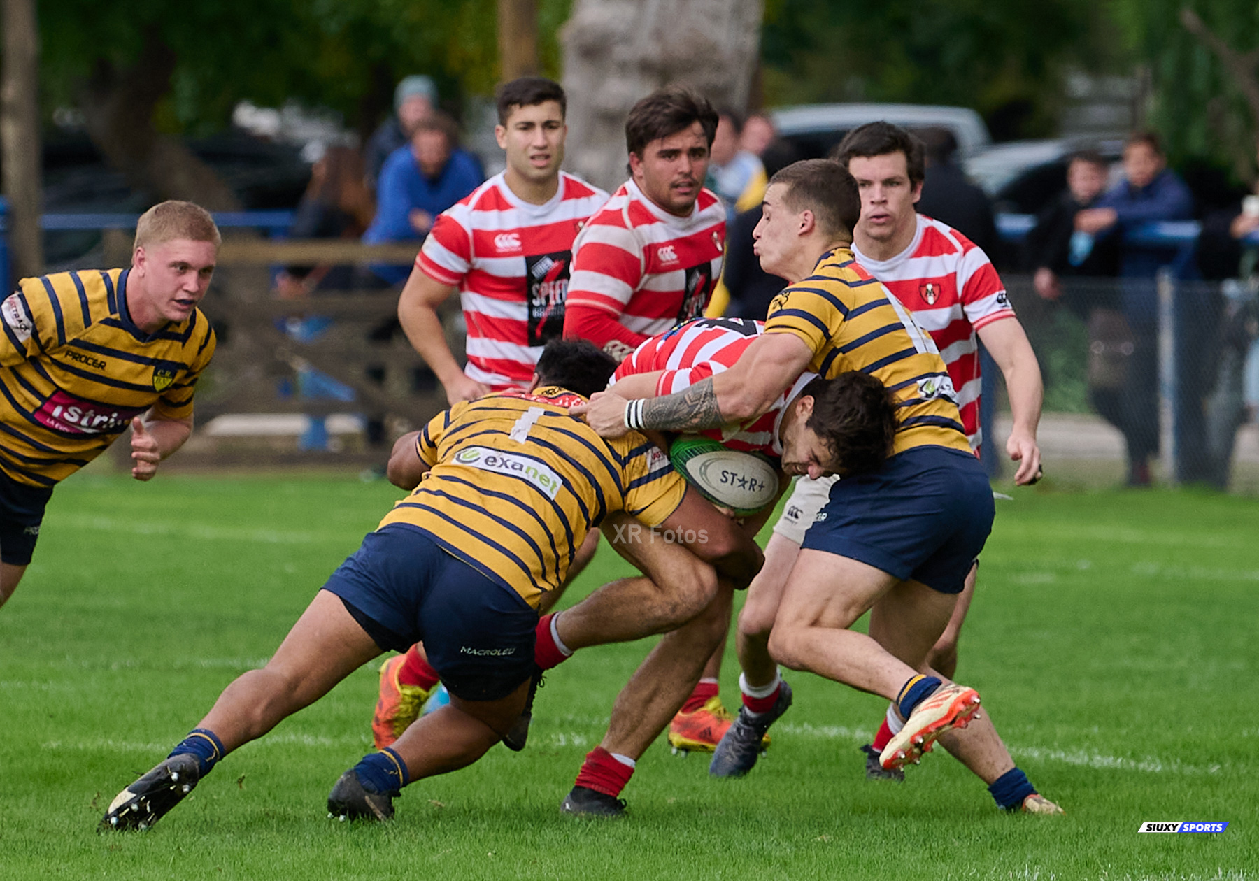  Club Regatas de Bella Vista - Asociación Alumni - Rugby - URBA 2024 - Top 12 Intermedia - Regatas BV (19) vs (26) Asociacion Alumni (#URBA24T12ALURBV14) Photo by: Ximena Rebecchi | Siuxy Sports 2024-04-27