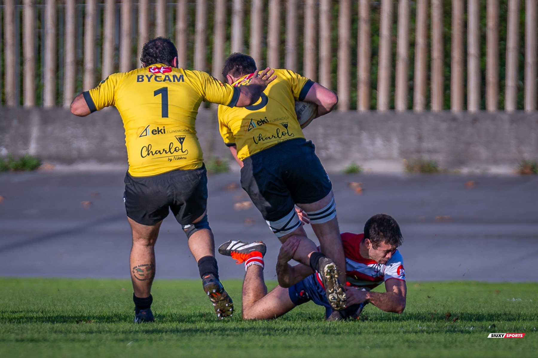  Getxo Artea Rugby Taldea - Universitario Bilbao Rugby - Rugby - FER 2024 - DHB - Getxo RT (35) vs (14) Universitario Bilbao Rugby (#FER24DHBGRTUBR11) Photo by: Fredy Monfoto | Siuxy Sports 2024-11-30