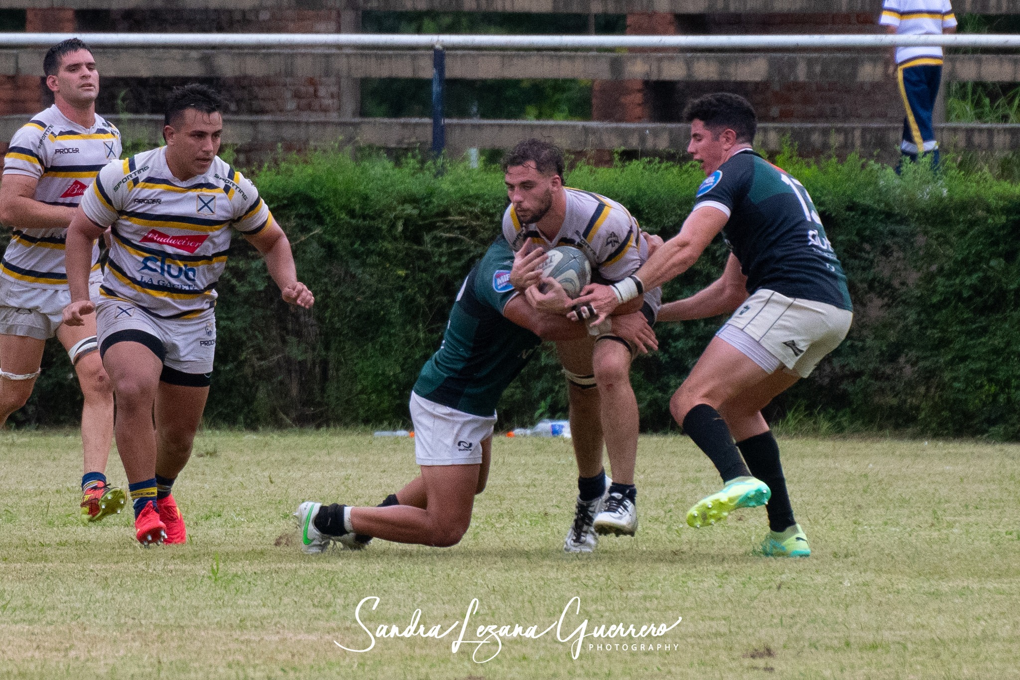  Tucumán Lawn Tennis Club - Tucumán Rugby Club - Rugby - URT 2024 - Tucuman Lawn Tennis Club (16) vs (15) Tucuman RC (#URT24TLTCTRC33) Photo by: Sandra Lezana Guerrero | Siuxy Sports 2024-03-16