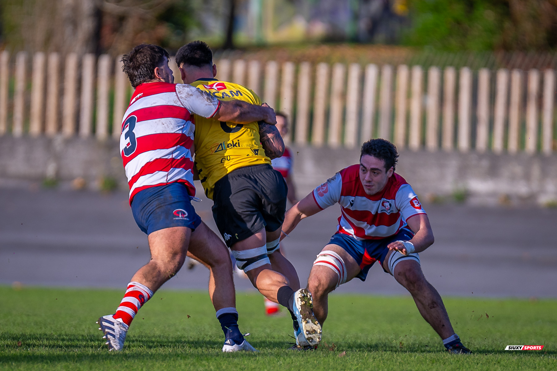  Getxo Artea Rugby Taldea - Universitario Bilbao Rugby - Rugby - FER 2024 - DHB - Getxo RT (35) vs (14) Universitario Bilbao Rugby (#FER24DHBGRTUBR11) Photo by: Fredy Monfoto | Siuxy Sports 2024-11-30