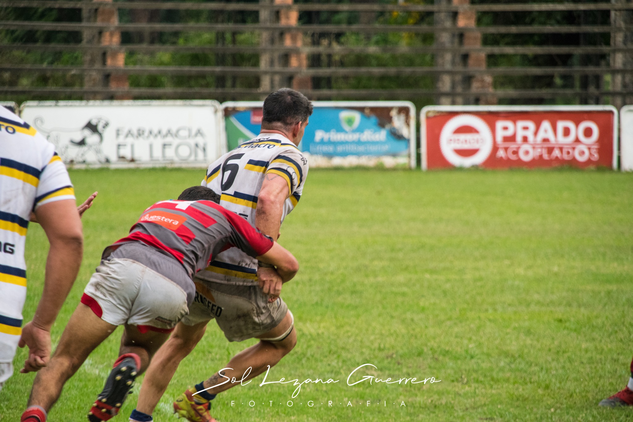  Tucumán Lawn Tennis Club - Lince Rugby Club - Rugby - URT 2024 - Tucuman Lawn Tennis Club (52) vs (27) Lince Rugby Club (#URT24TLTCLRC04) Photo by: Sandra Lezana Guerrero | Siuxy Sports 2024-04-20