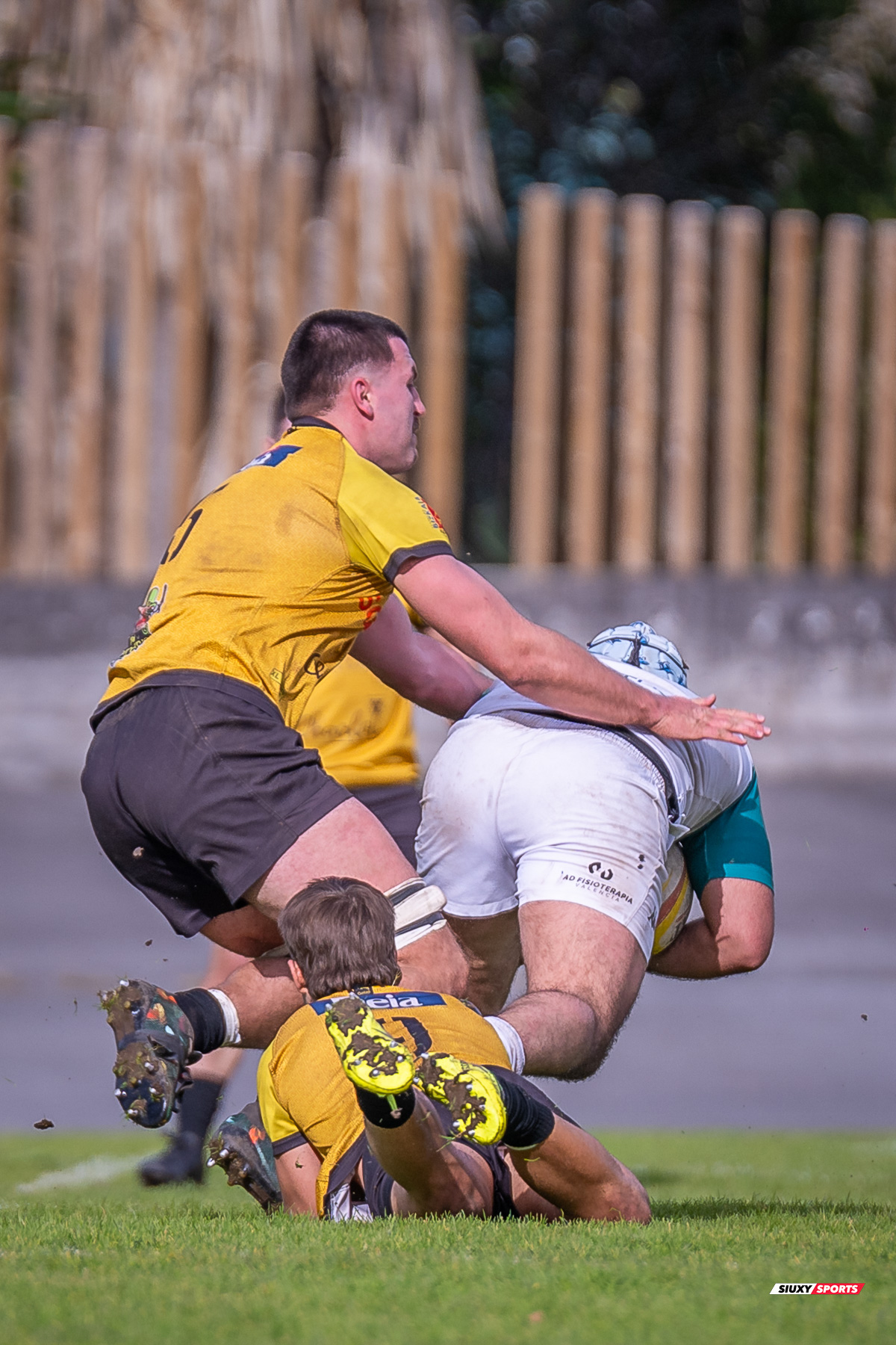  Getxo Artea Rugby Taldea - Rugby Club Valencia - Rugby - FER 2024 - DHB - Getxo RT (14) vs (16) Valencia RC (#FER24DHBGRTVRC01) Photo by: Fredy Monfoto | Siuxy Sports 2024-01-28