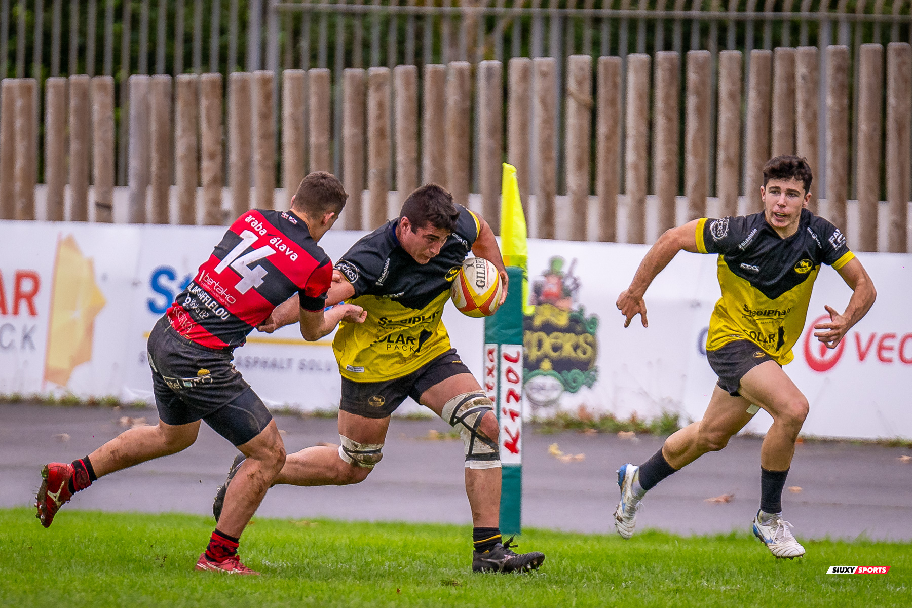  Getxo Artea Rugby Taldea - Gaztedi Rugby Taldea - Rugby - FER 2024 - DHB - Getxo RT (68) vs (0) Gaztedi RT (#FER24DHBGETGAZ11) Photo by: Fredy Monfoto | Siuxy Sports 2024-11-10