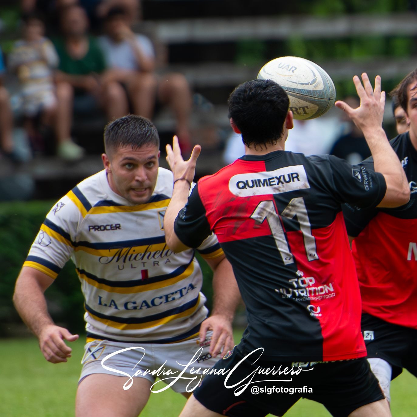  Tucumán Lawn Tennis Club - Córdoba Athletic - Rugby - UAR - Torneo del Interior 2024 - Tucuman Lawn Tennis Club (24) vs (15) Cordoba Athletic (#UAR24TITLTCCA11) Photo by: Sandra Lezana Guerrero | Siuxy Sports 2024-11-02