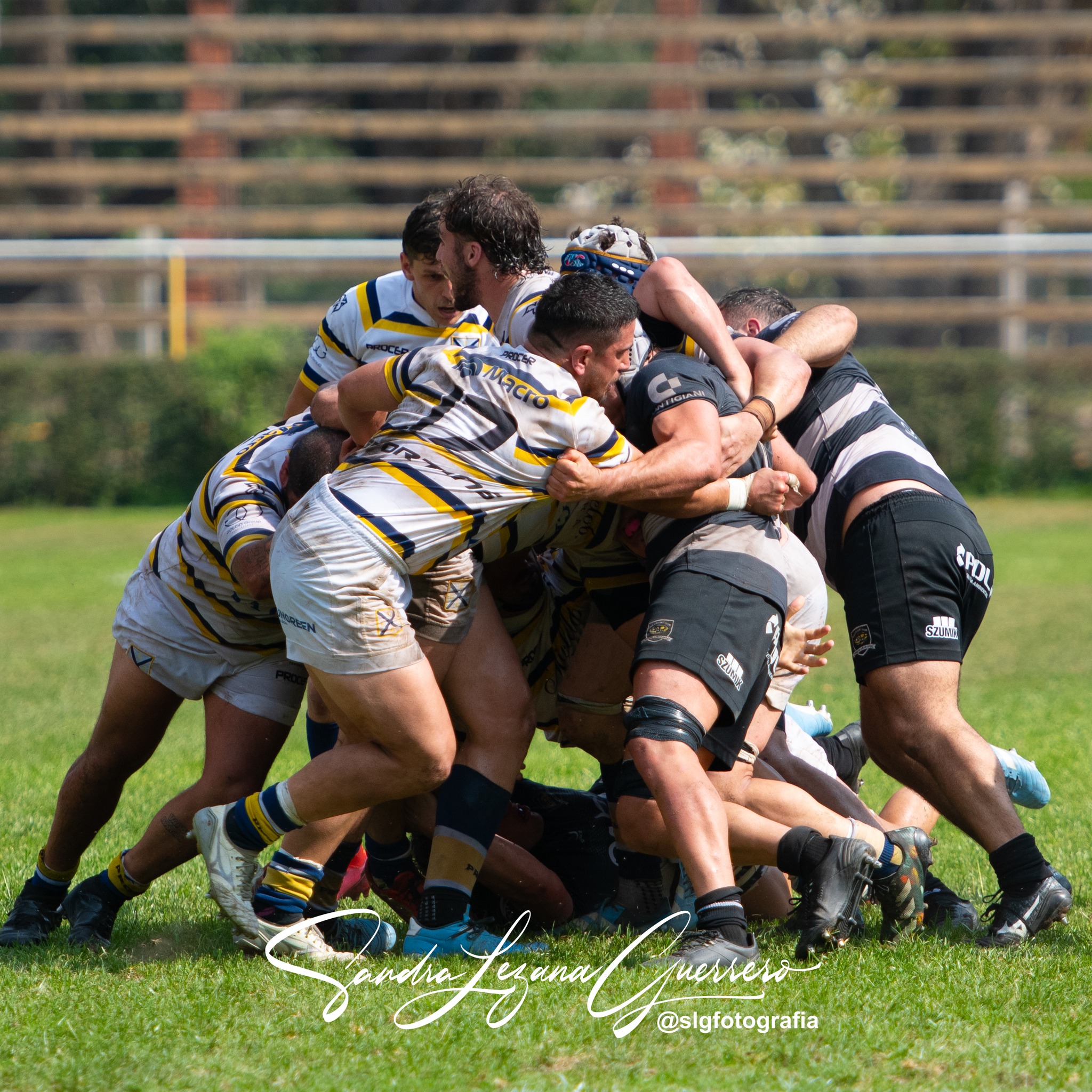  Tucumán Lawn Tennis Club - Tala Rugby Club - Rugby - UAR - Nacional de Clubes 2024 - Tucuman Lawn Tennis vs Tala (#UAR24NCTCLTTC09) Photo by: Sandra Lezana Guerrero | Siuxy Sports 2024-09-21