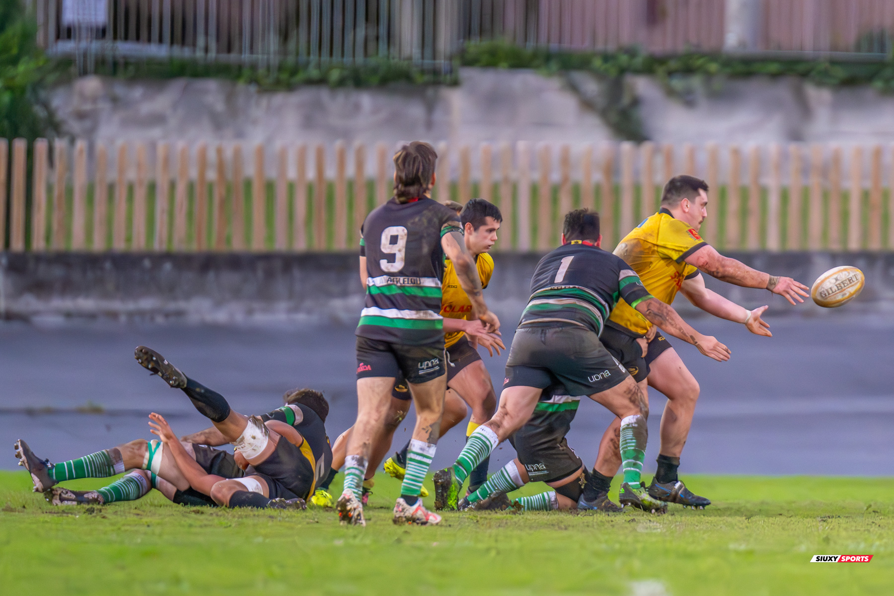  Getxo Artea Rugby Taldea - La Única Rugby Taldea - Rugby - FER 2024 - DHB - Getxo RT (91) vs (0) La Unica RT (#FER24DHBGRTLUR11) Photo by: Fredy Monfoto | Siuxy Sports 2023-11-04