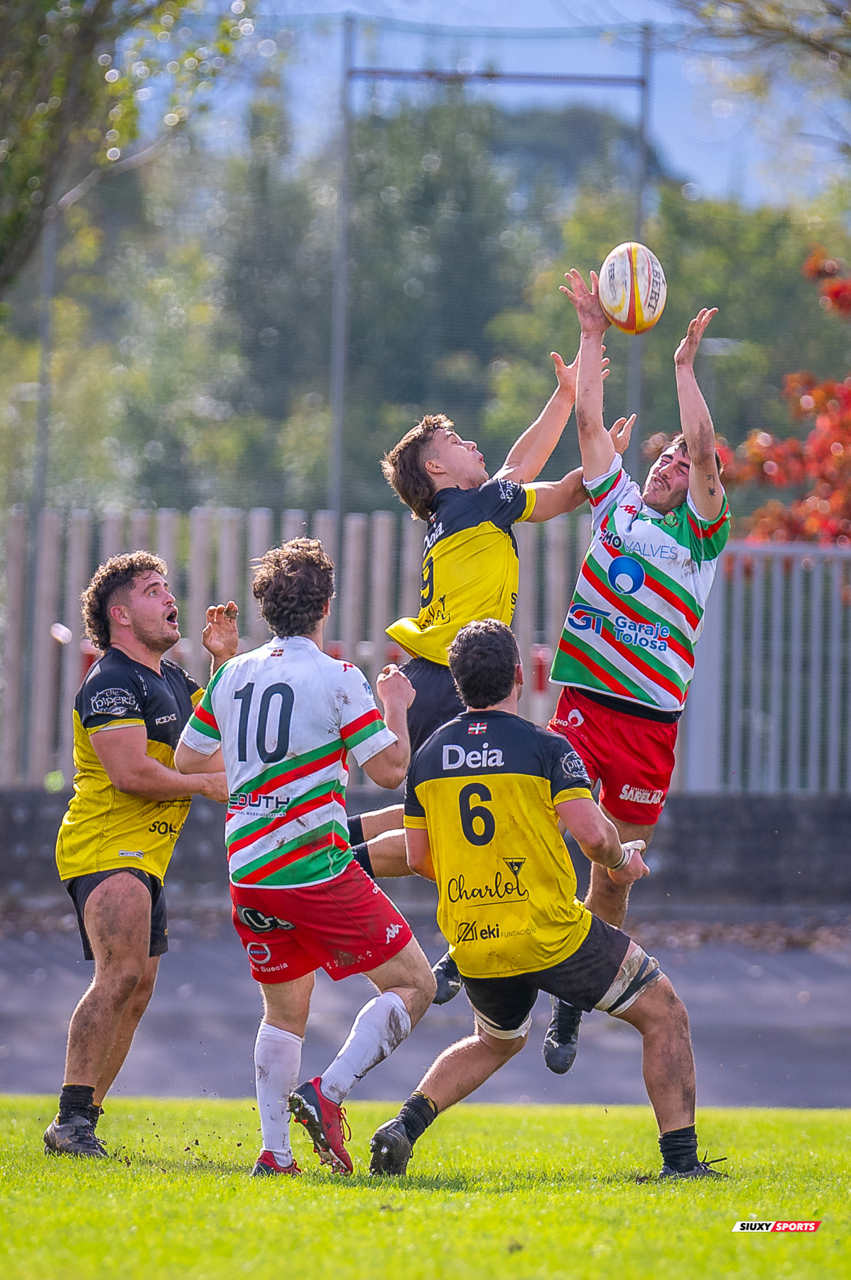  Getxo Artea Rugby Taldea - Hernani Club Rugby Elkartea - Rugby - FER 2024 - Getxo Artea Rugby Taldea (41) vs (8) Hernani Club Rugby Elkartea  (#FER24GETHER10) Photo by: Fredy Monfoto | Siuxy Sports 2024-10-20