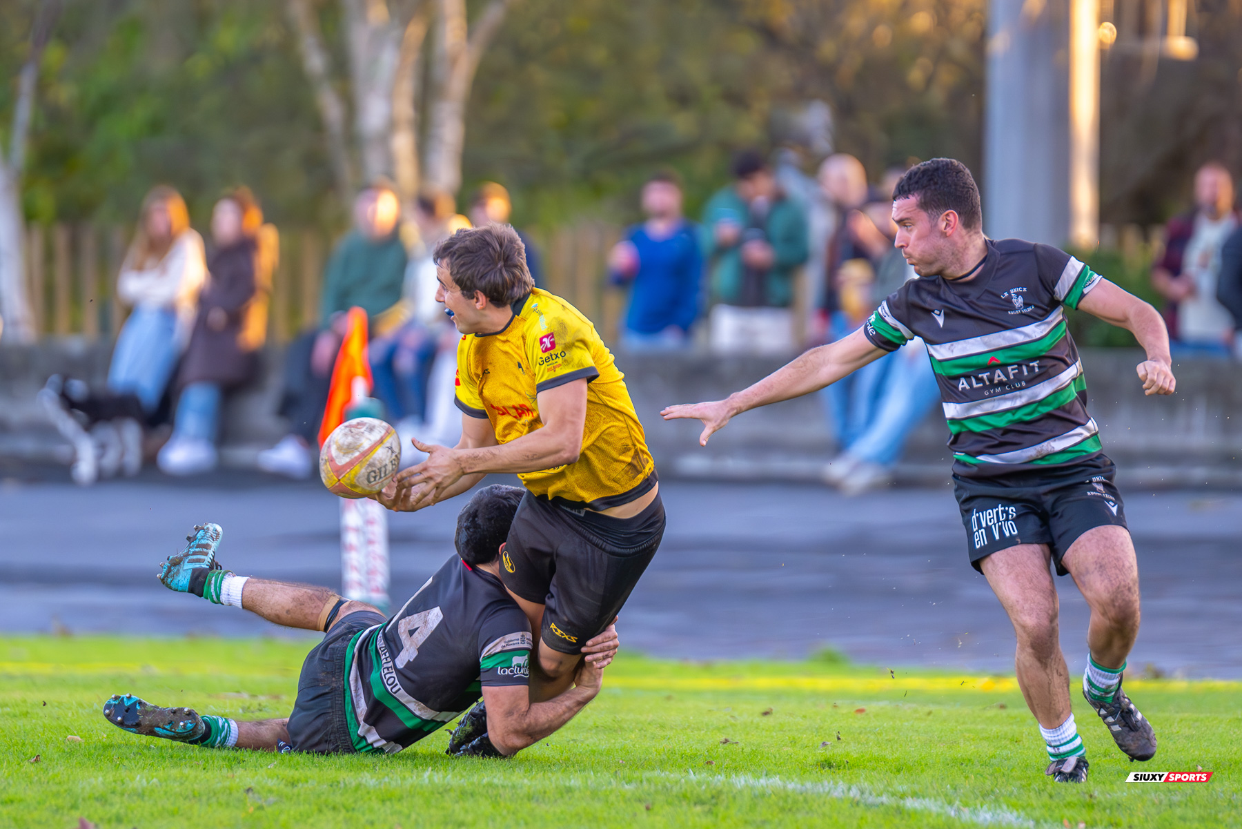 Getxo Artea Rugby Taldea - La Única Rugby Taldea - Rugby - FER 2024 - DHB - Getxo RT (91) vs (0) La Unica RT (#FER24DHBGRTLUR11) Photo by: Fredy Monfoto | Siuxy Sports 2023-11-04