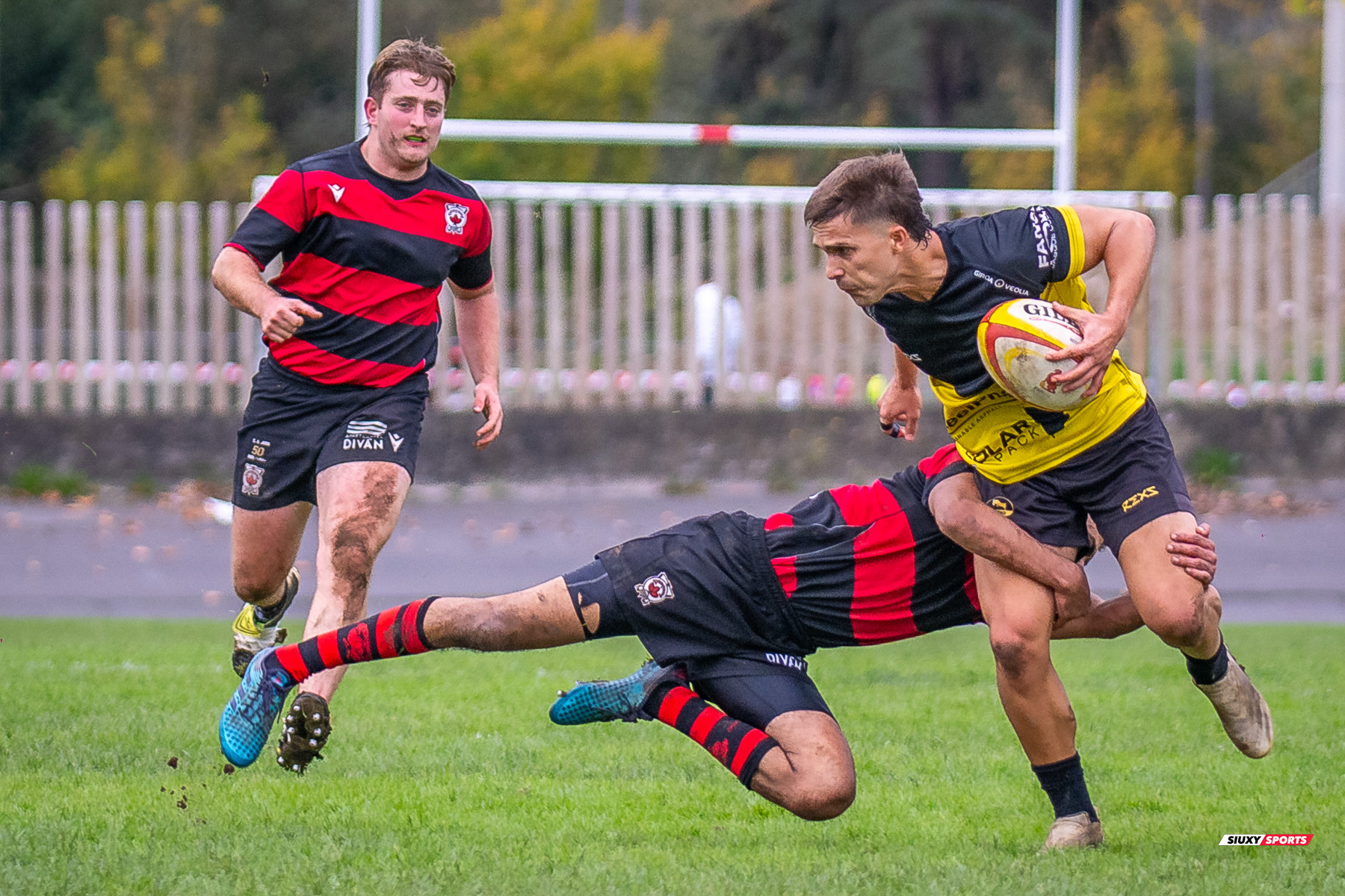  Getxo Artea Rugby Taldea - Gaztedi Rugby Taldea - Rugby - FER 2024 - DHB - Getxo RT (68) vs (0) Gaztedi RT (#FER24DHBGETGAZ11) Photo by: Fredy Monfoto | Siuxy Sports 2024-11-10