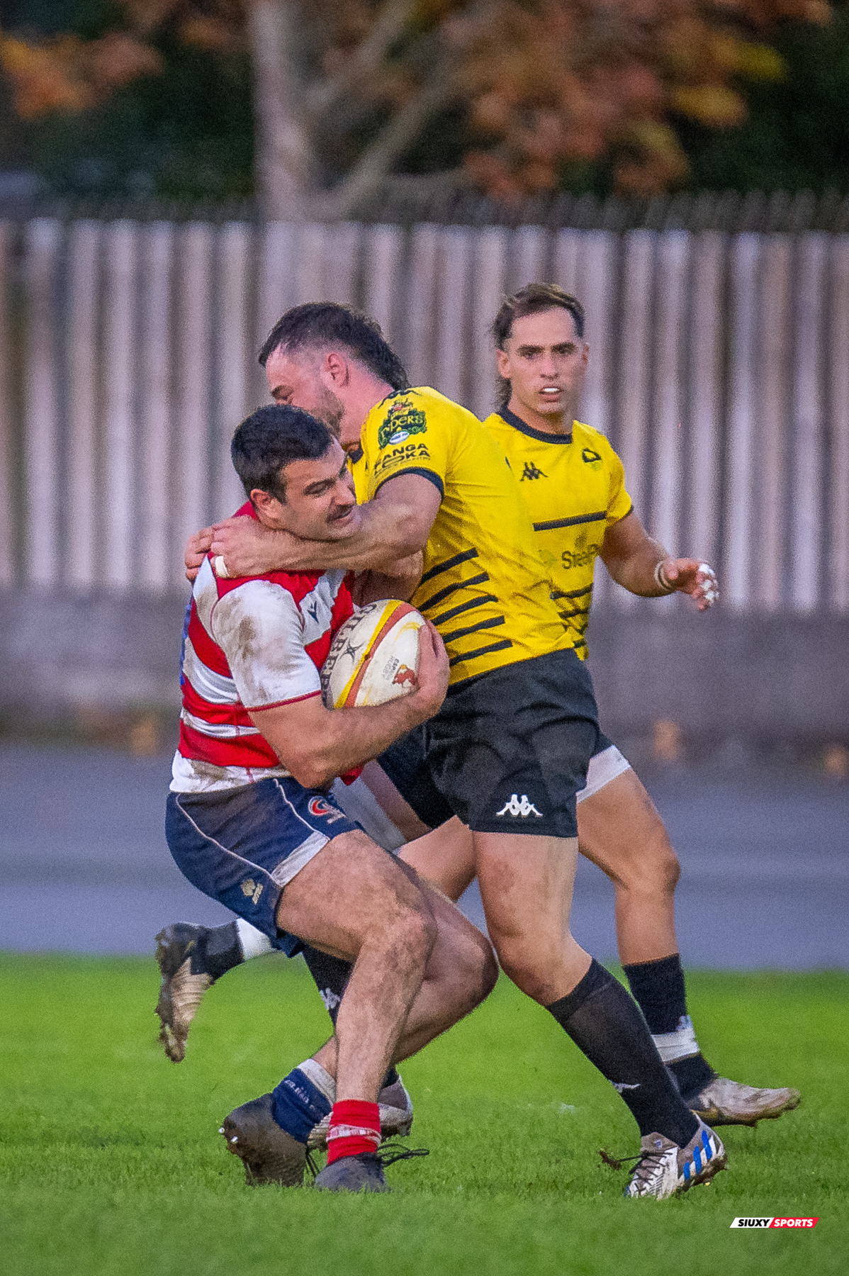  Getxo Artea Rugby Taldea - Universitario Bilbao Rugby - Rugby - FER 2024 - DHB - Getxo RT (35) vs (14) Universitario Bilbao Rugby (#FER24DHBGRTUBR11) Photo by: Fredy Monfoto | Siuxy Sports 2024-11-30
