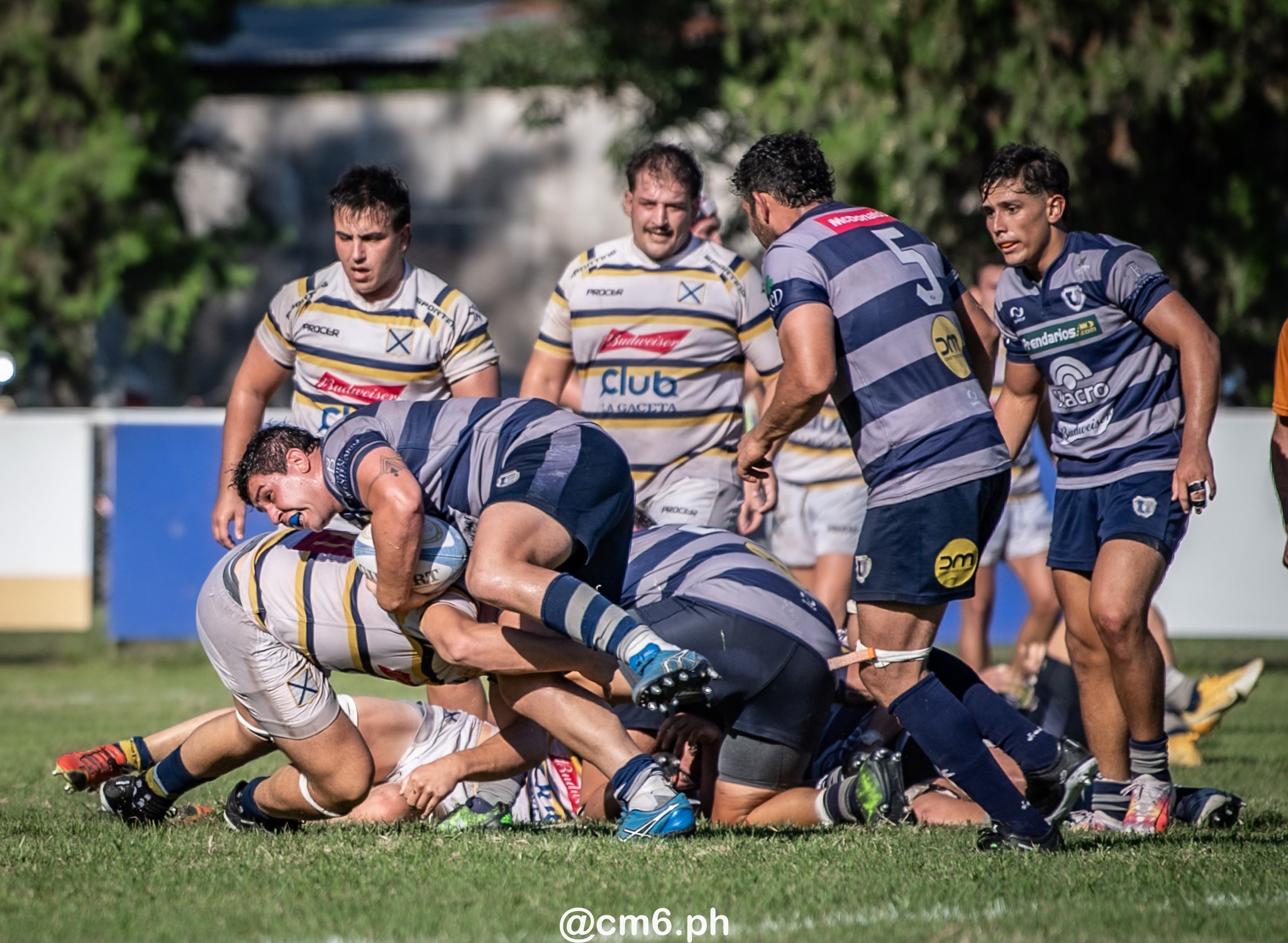  Universitario Rugby Club - Tucuman - Tucumán Lawn Tennis Club - Rugby - URT 2024 - Universitario de Tucuman (23) vs (40) Tucuman Lawn Tennis Club (#URT24UNITLTC03) Photo by: Christian Mas | Siuxy Sports 2024-03-09