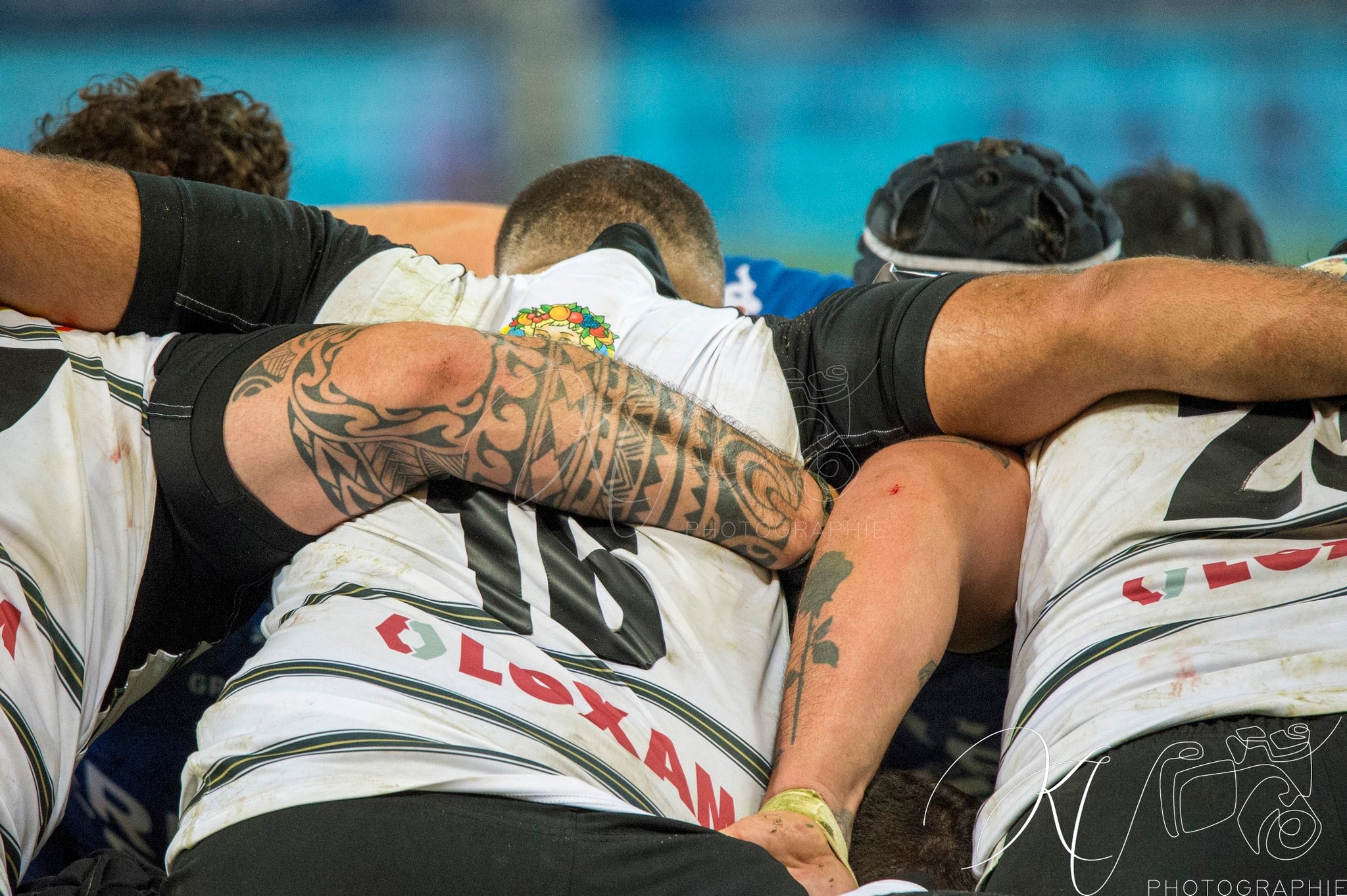  FC Grenoble Rugby - CA Brive - Rugby - FFR 2024 Fed2 - FC Grenoble Rugby (34) vs (22) CA Brive (#FFR24F2FCGBRI12) Photo by: Karine Valentin | Siuxy Sports 2024-12-13