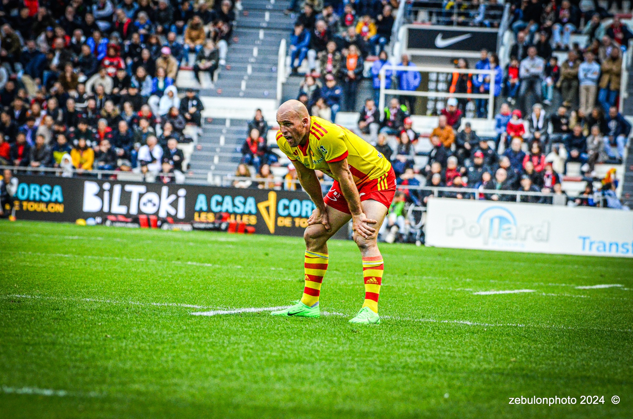  RC Toulonnais - US Arlequins Perpignanais - Rugby - TOP 14 - Toulon (44) vs (22) Perpignan (#TOP1424RCTUSAP03) Photo by: Photo Zebulon | Siuxy Sports 2024-03-02