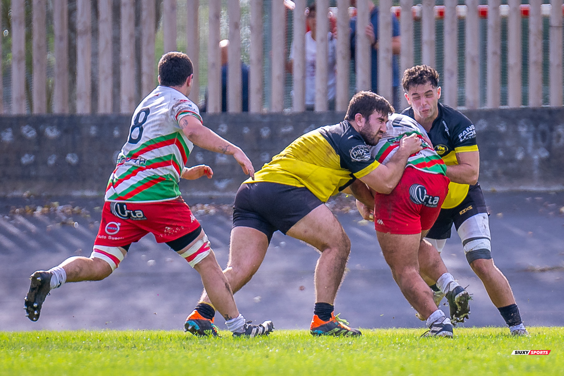  Getxo Artea Rugby Taldea - Hernani Club Rugby Elkartea - Rugby - FER 2024 - Getxo Artea Rugby Taldea (41) vs (8) Hernani Club Rugby Elkartea  (#FER24GETHER10) Photo by: Fredy Monfoto | Siuxy Sports 2024-10-20