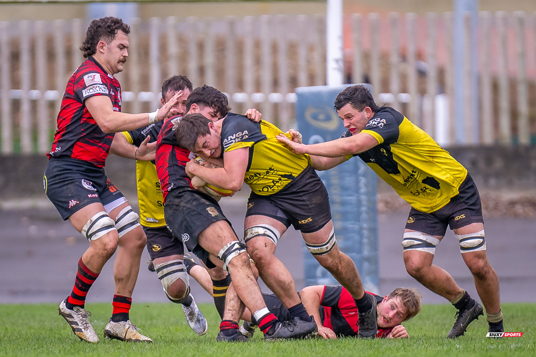  Getxo Artea Rugby Taldea - Gaztedi Rugby Taldea - Rugby - FER 2024 - DHB - Getxo RT (68) vs (0) Gaztedi RT (#FER24DHBGETGAZ11) Photo by: Fredy Monfoto | Siuxy Sports 2024-11-10