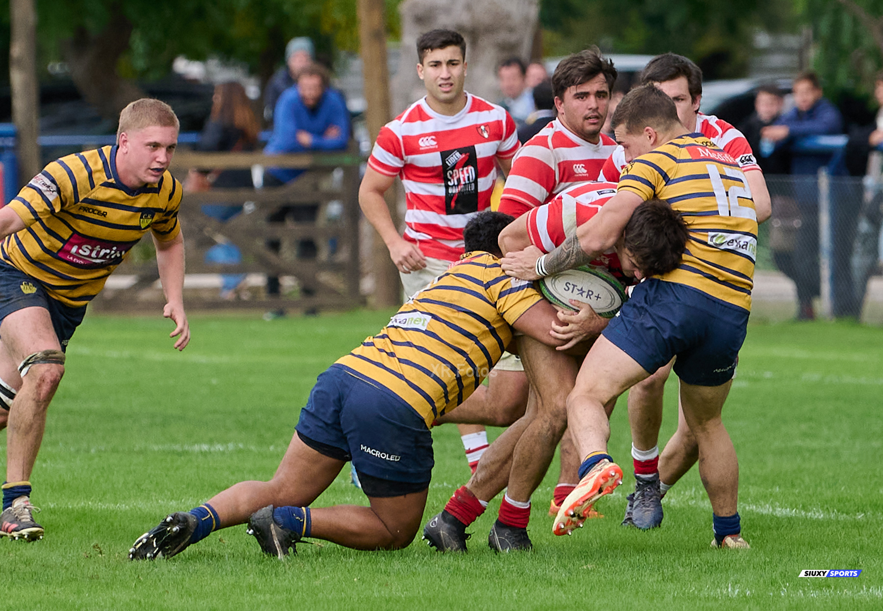  Club Regatas de Bella Vista - Asociación Alumni - Rugby - URBA 2024 - Top 12 Intermedia - Regatas BV (19) vs (26) Asociacion Alumni (#URBA24T12ALURBV14) Photo by: Ximena Rebecchi | Siuxy Sports 2024-04-27