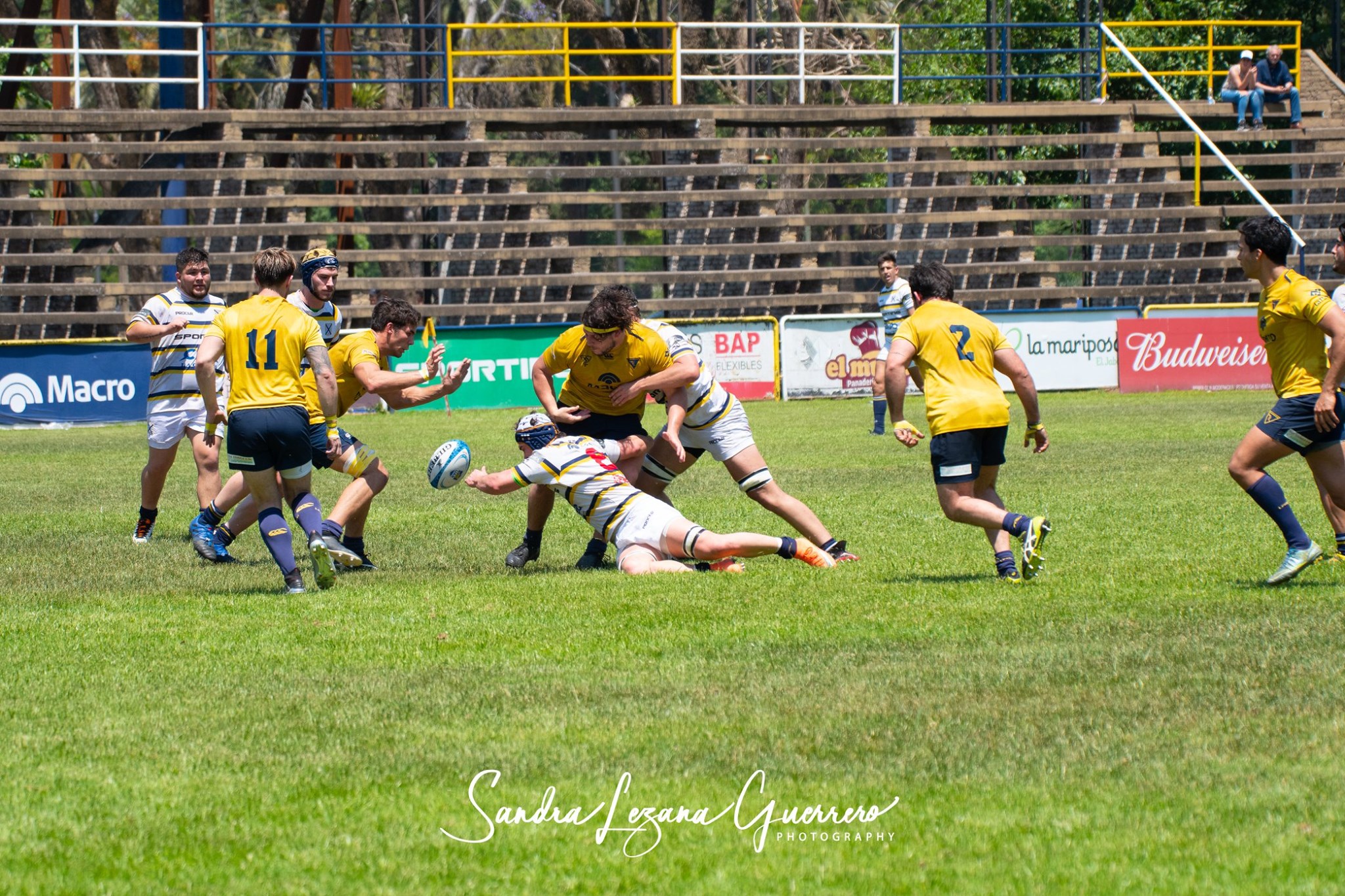  Tucumán Lawn Tennis Club - La Plata Rugby Club - Rugby - UAR - Nacional de Clubes 2019 - Tucuman Lawn Tennis (35) vs (50) La Plata RC (#UAR19NDCTLTLP10) Photo by: Sandra Lezana Guerrero | Siuxy Sports 2019-10-26