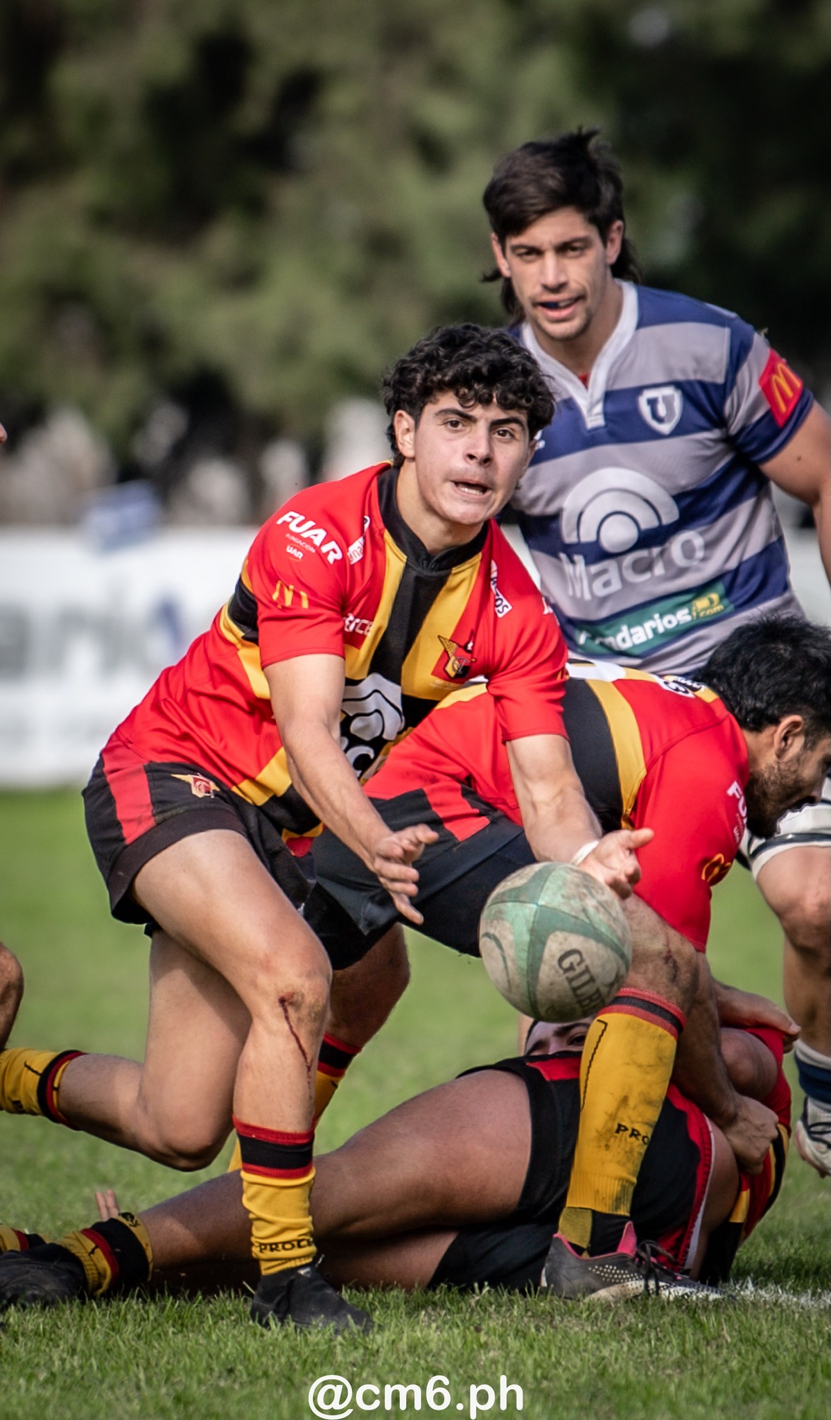  Universitario Rugby Club - Tucuman - Cardenales Rugby Club - Rugby - URT 2024 - Universitario (57) vs (6) Cardenales (#URT24UNICAR06) Photo by: Christian Mas | Siuxy Sports 2024-06-30