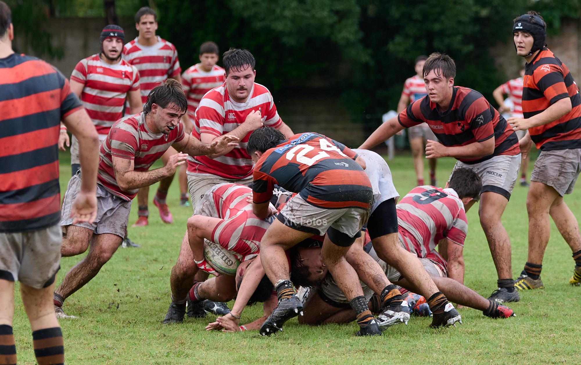  Asociación Alumni - Olivos Rugby Club - Rugby - URBA M19 - 2024 - Alumni vs Olivos RC (#URBA24M19AAORC04) Photo by: Ximena Rebecchi | Siuxy Sports 2024-04-14
