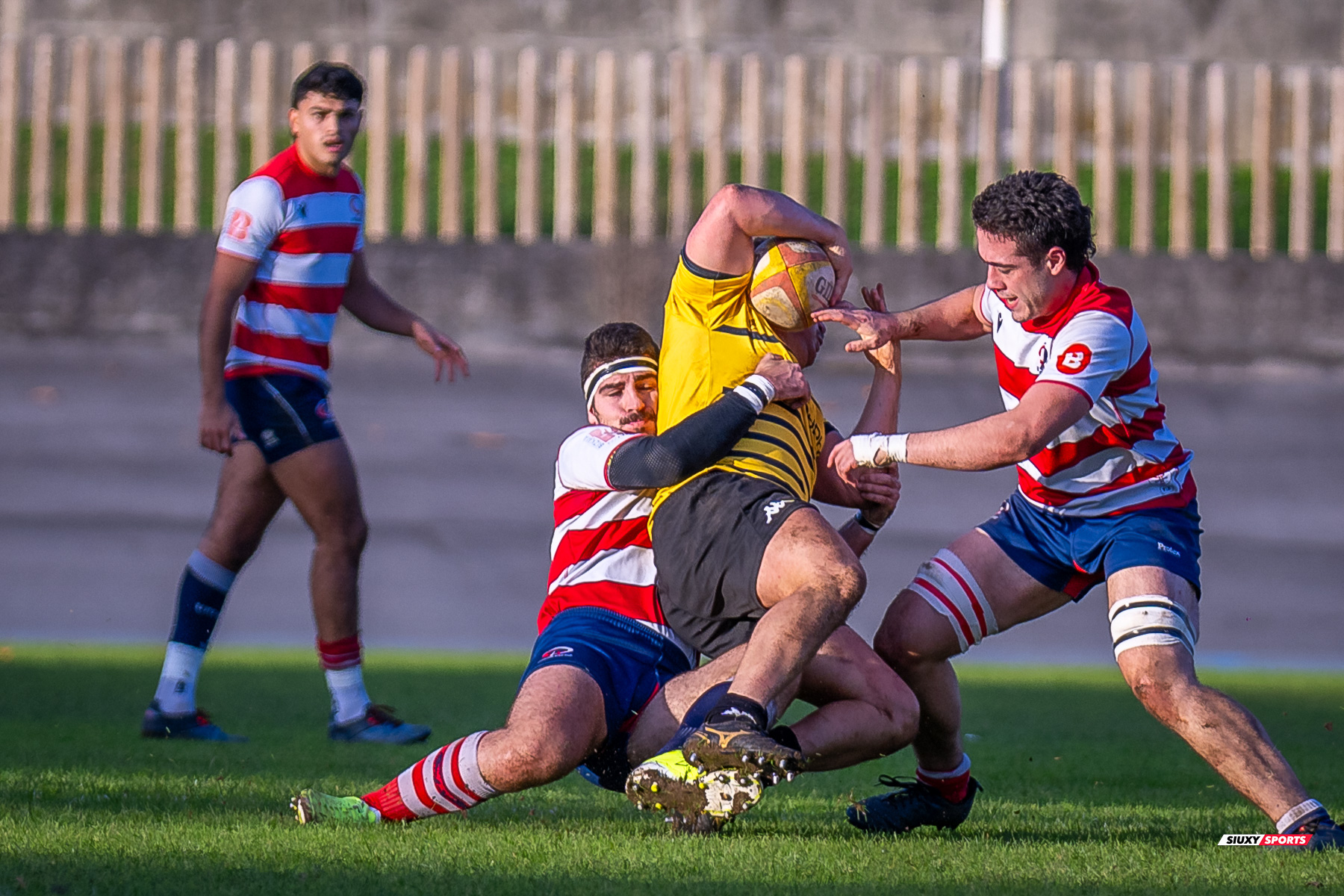  Getxo Artea Rugby Taldea - Universitario Bilbao Rugby - Rugby - FER 2024 - DHB - Getxo RT (35) vs (14) Universitario Bilbao Rugby (#FER24DHBGRTUBR11) Photo by: Fredy Monfoto | Siuxy Sports 2024-11-30