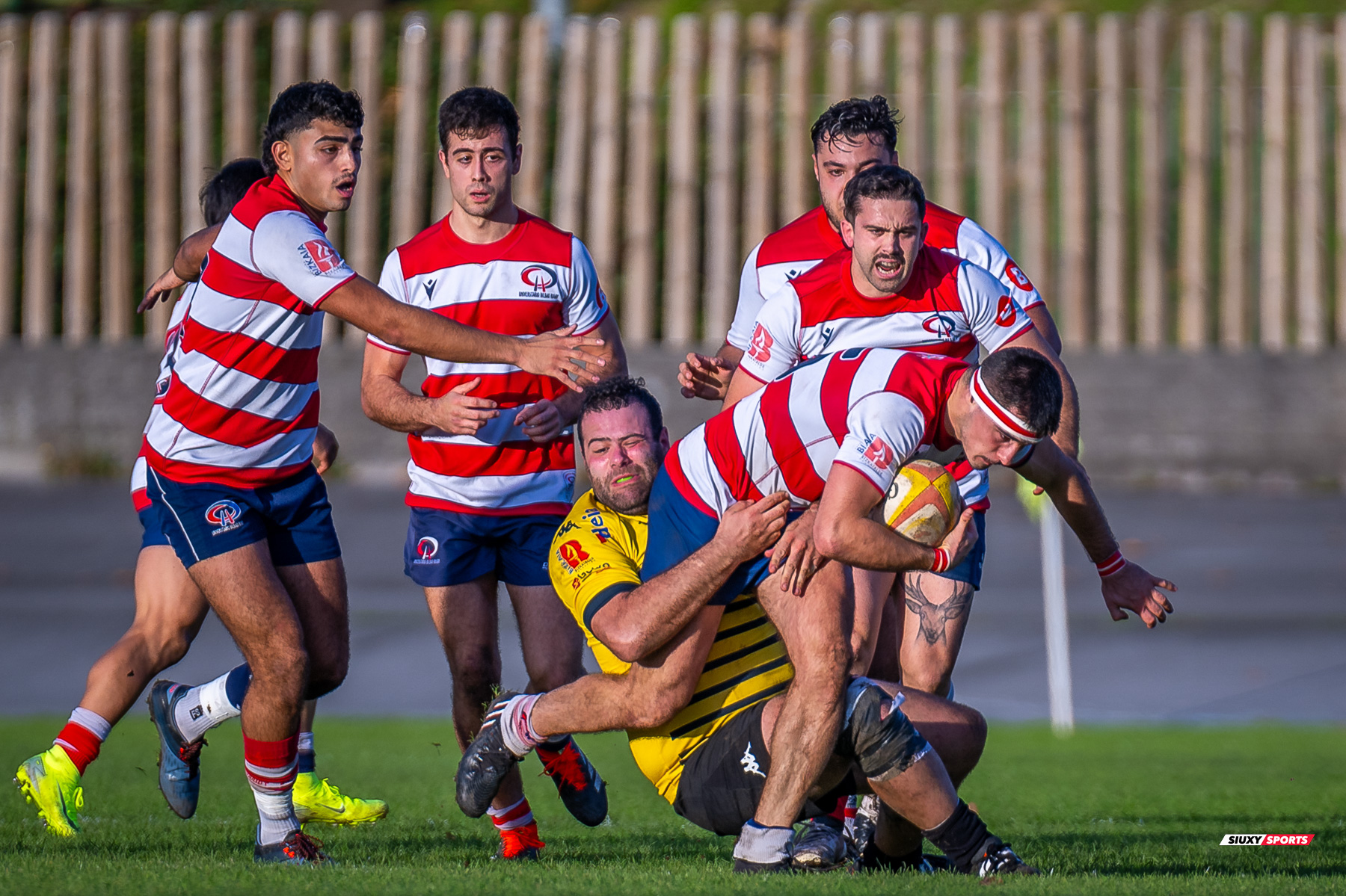  Getxo Artea Rugby Taldea - Universitario Bilbao Rugby - Rugby - FER 2024 - DHB - Getxo RT (35) vs (14) Universitario Bilbao Rugby (#FER24DHBGRTUBR11) Photo by: Fredy Monfoto | Siuxy Sports 2024-11-30
