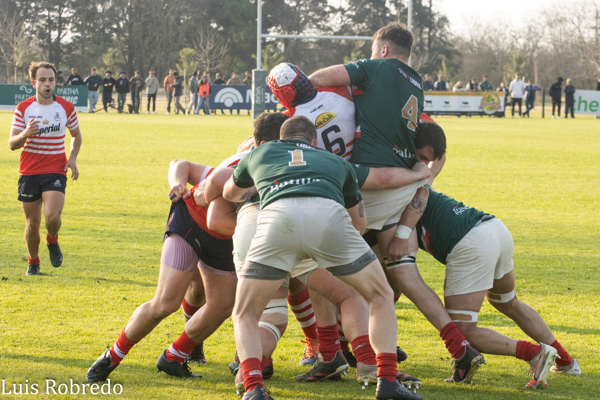 Areco Rugby Club - Sociedad Italiana de Tiro al Segno - Rugby - URBA 2024 - 1C - Areco (14) vs (59) SITAS (#URBA241CARESIT08) Photo by: Luis Robredo | Siuxy Sports 2024-08-17
