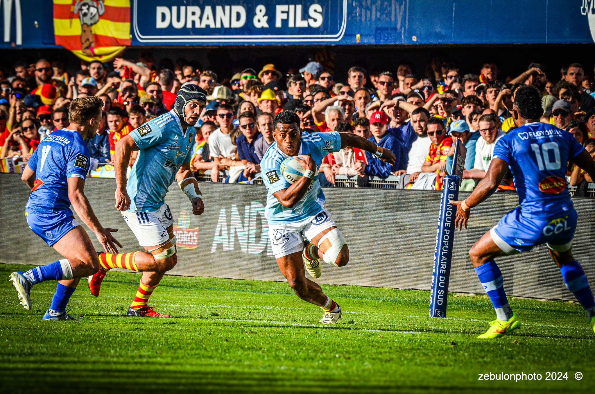  US Arlequins Perpignanais - Castres Olympique - Rugby - FFR 2024 - Top14 - USAP (43) vs (12) Castres  (#FFR24TOPPERCAS03) Photo by: Photo Zebulon | Siuxy Sports 2024-03-30