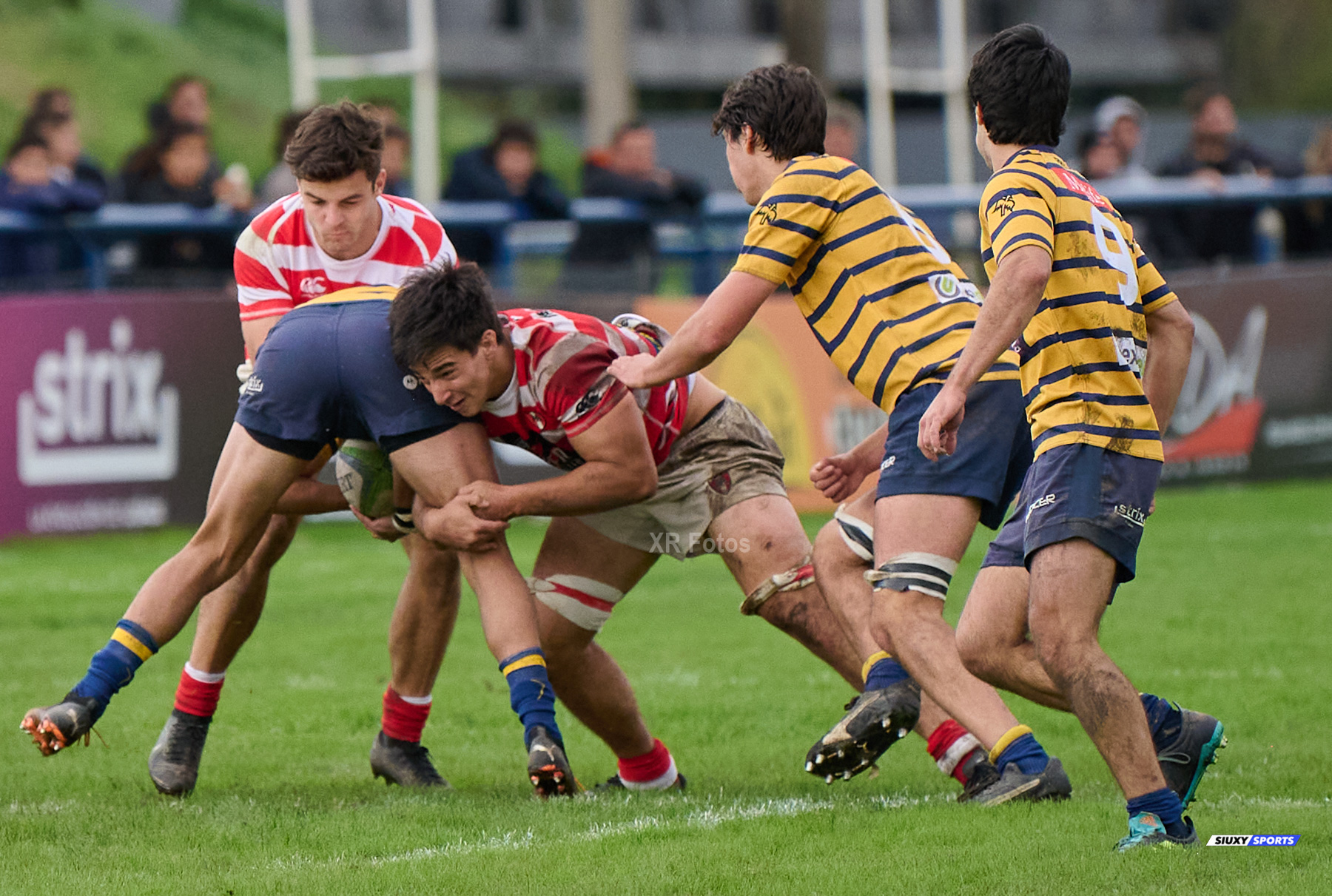  Club Regatas de Bella Vista - Asociación Alumni - Rugby - URBA 2024 - Top 12 Intermedia - Regatas BV (19) vs (26) Asociacion Alumni (#URBA24T12ALURBV14) Photo by: Ximena Rebecchi | Siuxy Sports 2024-04-27
