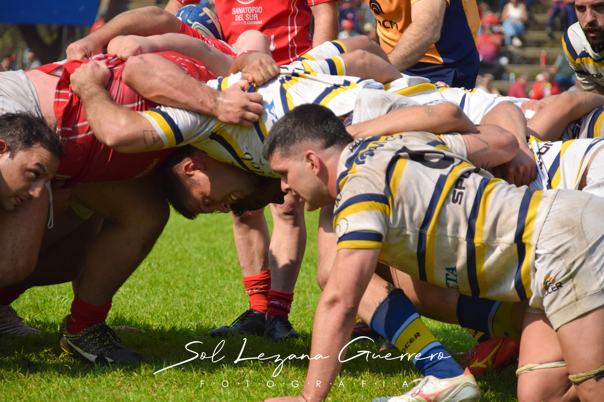  Tucumán Lawn Tennis Club - Los Tarcos Rugby Club - Rugby - NOA 2024 - Tucuman Lawn Tennis vs Los Tarcos RC (#NOA24TLTLT08) Photo by: Sandra Lezana Guerrero | Siuxy Sports 2024-08-17