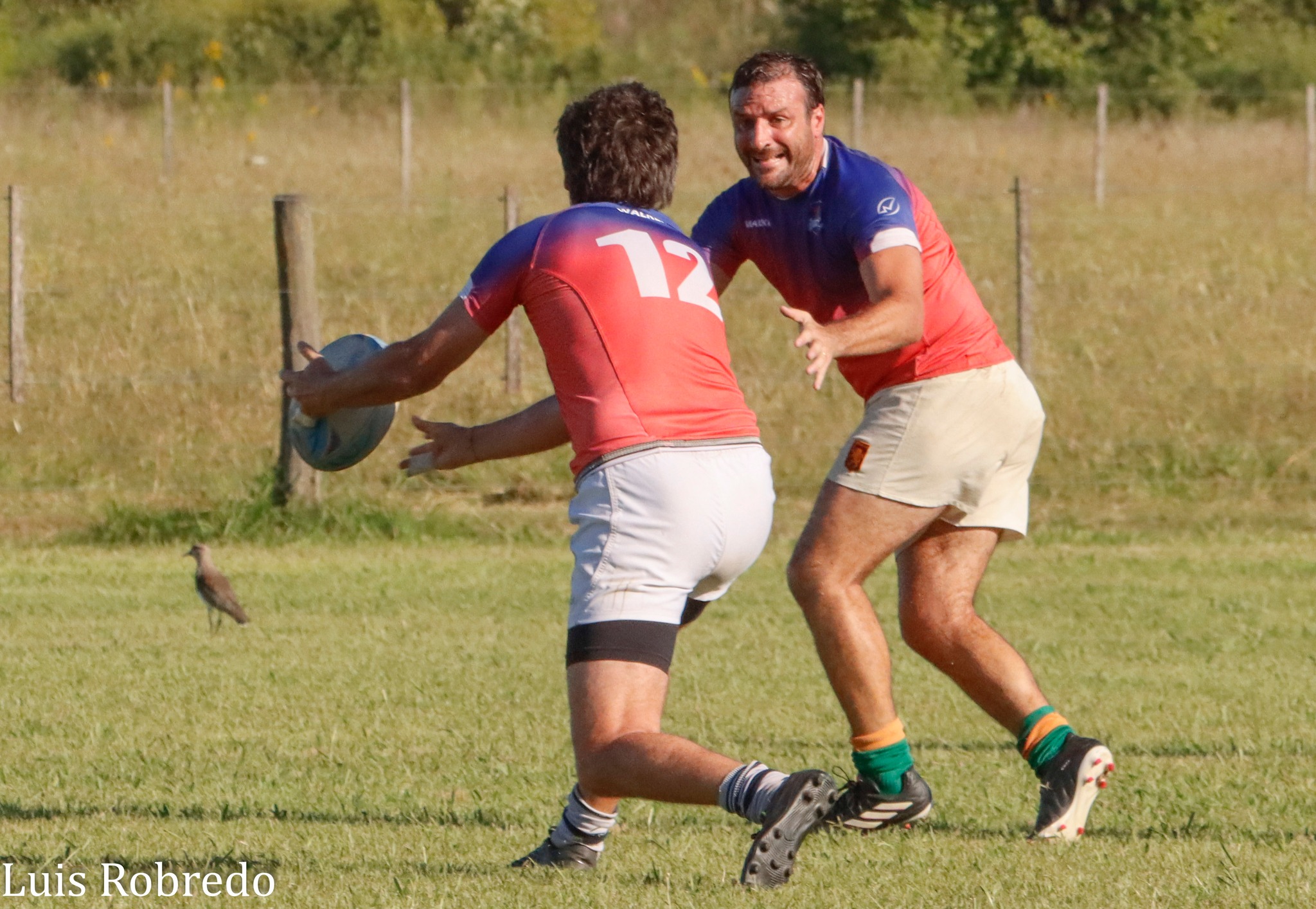  Repuestos XV - Mentime XV Rugby Senior - RugbyV - 6TO ENCUENTRO DE VETERANOS DEL ARECO RUGBY CLUB - Repuestos XV vs Mentime XV (#2024EncVetARCRXVMXV03) Photo by: Luis Robredo | Siuxy Sports 2024-03-09
