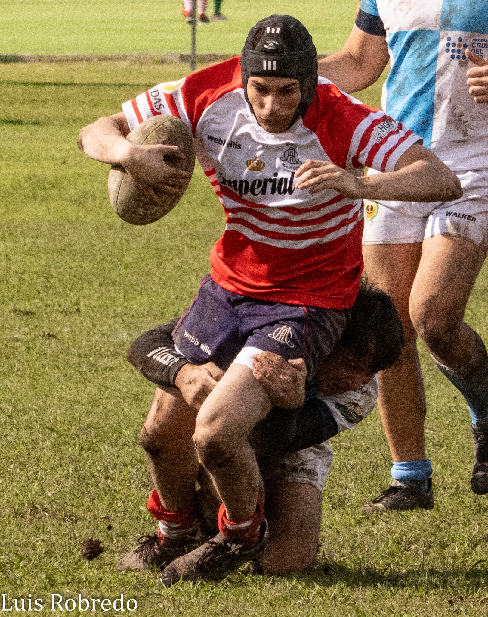  Areco Rugby Club - Centro Naval - Rugby - URBA 2024 - 1ra C - Areco RC (10) vs (45) Centro Naval (#URBA241CARECNA04) Photo by: Luis Robredo | Siuxy Sports 2024-04-26