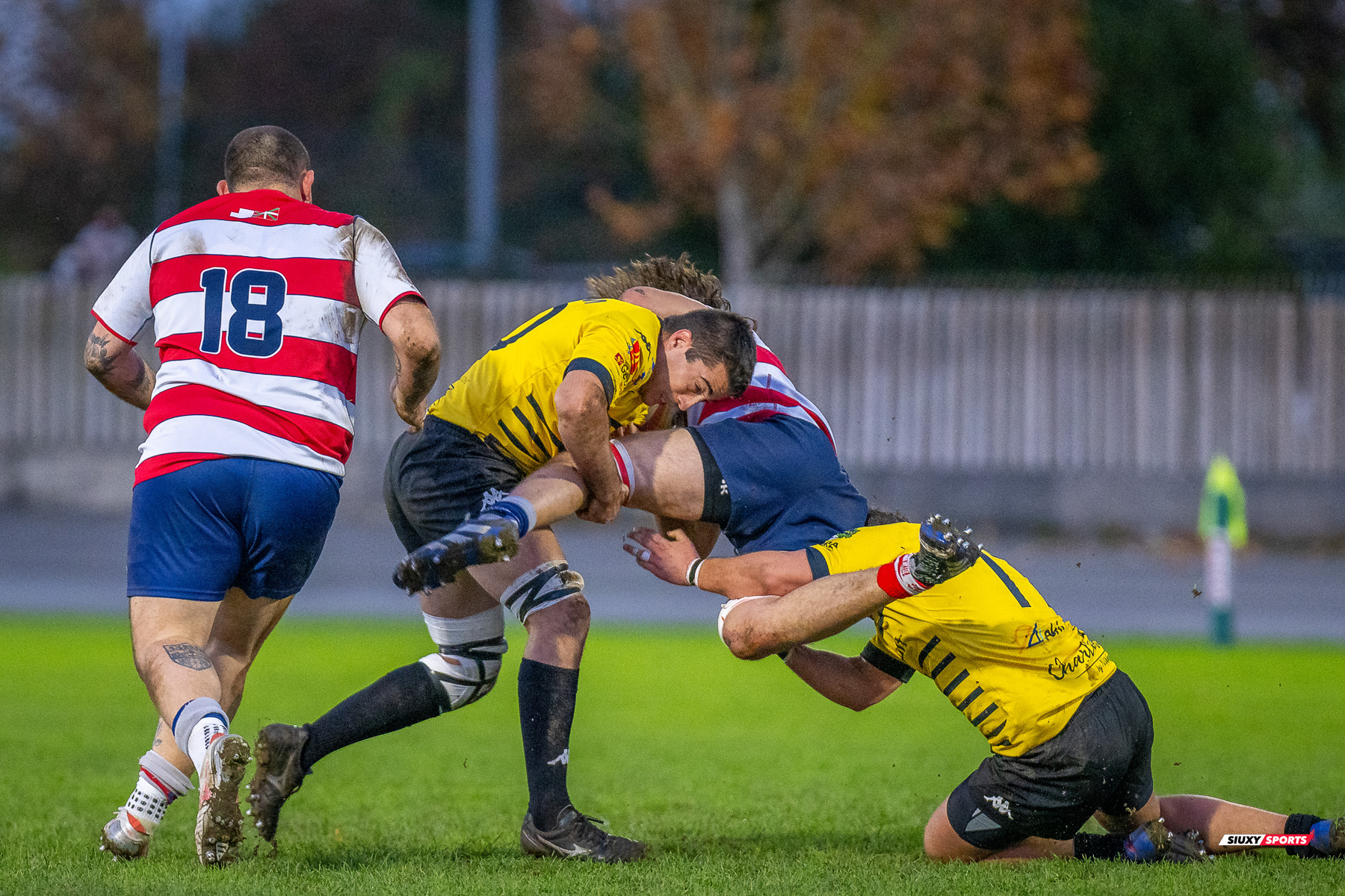  Getxo Artea Rugby Taldea - Universitario Bilbao Rugby - Rugby - FER 2024 - DHB - Getxo RT (35) vs (14) Universitario Bilbao Rugby (#FER24DHBGRTUBR11) Photo by: Fredy Monfoto | Siuxy Sports 2024-11-30