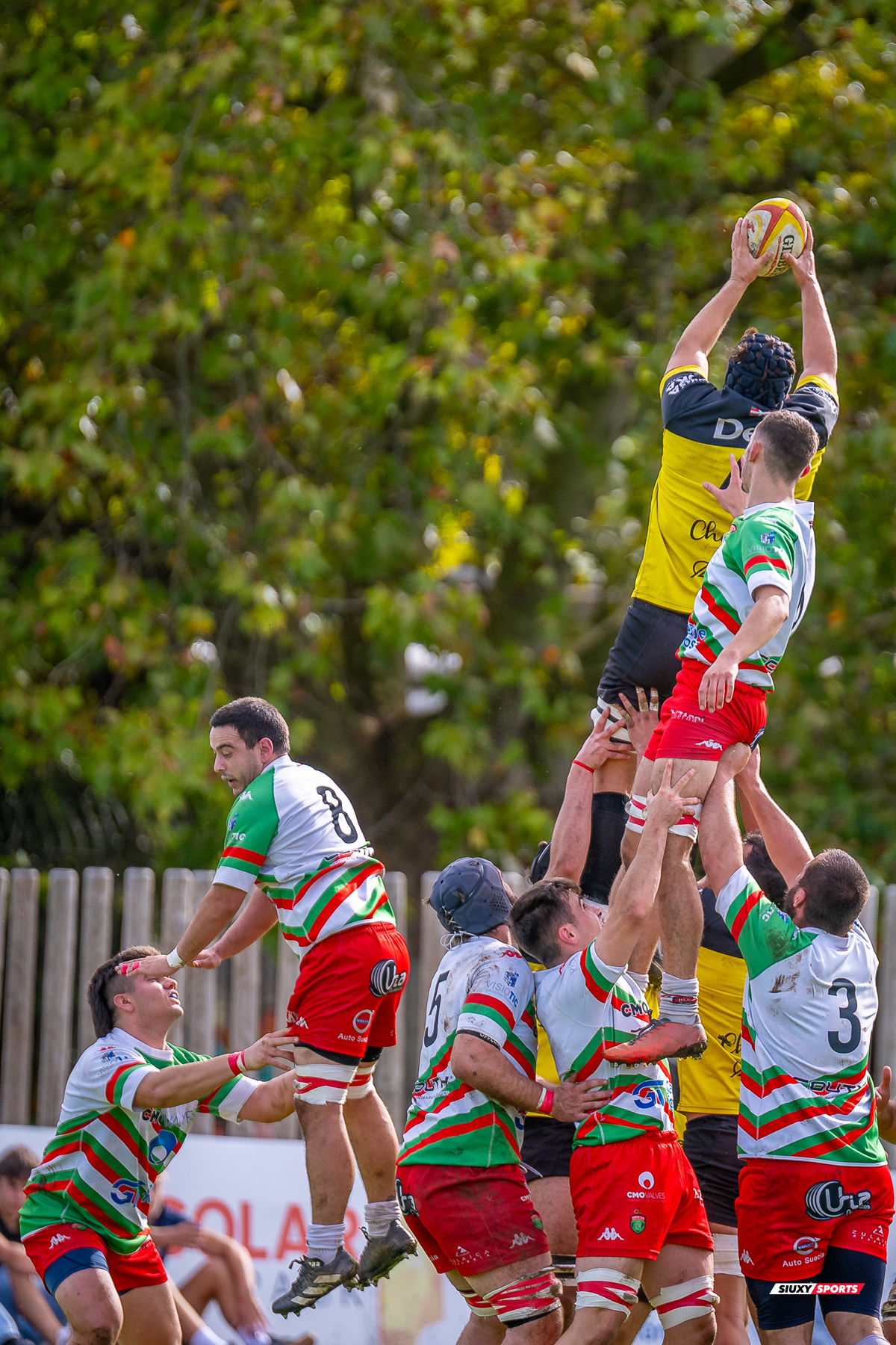  Getxo Artea Rugby Taldea - Hernani Club Rugby Elkartea - Rugby - FER 2024 - Getxo Artea Rugby Taldea (41) vs (8) Hernani Club Rugby Elkartea  (#FER24GETHER10) Photo by: Fredy Monfoto | Siuxy Sports 2024-10-20