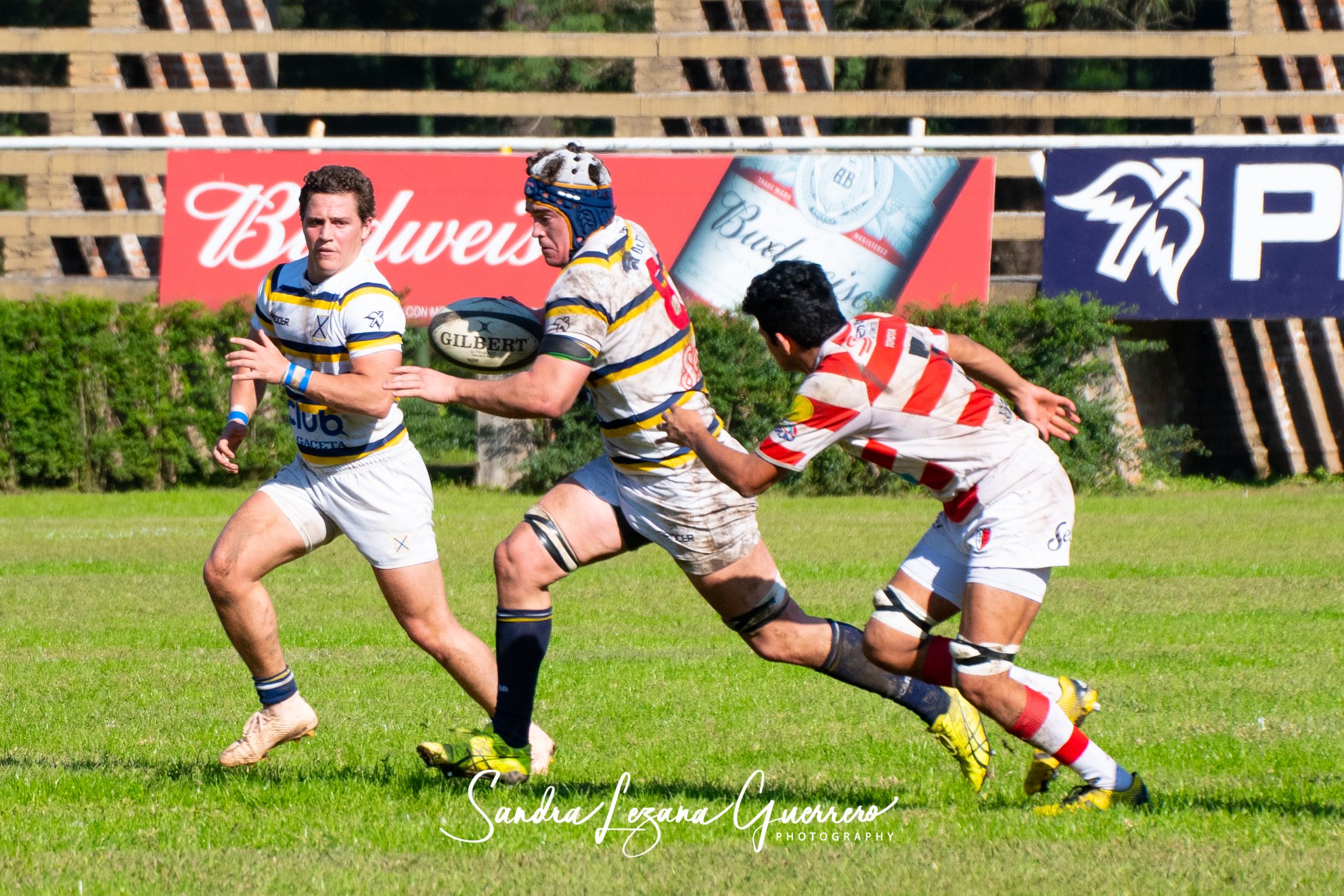  Tucumán Lawn Tennis Club - Santiago Lawn Tennis - Rugby - UAR - Torneo del Interior 2019 - Tucuman Lawn Tennis vs Santiago Lawn Tennis (#UAR19TDITLTSLT06) Photo by: Sandra Lezana Guerrero | Siuxy Sports 2019-06-01