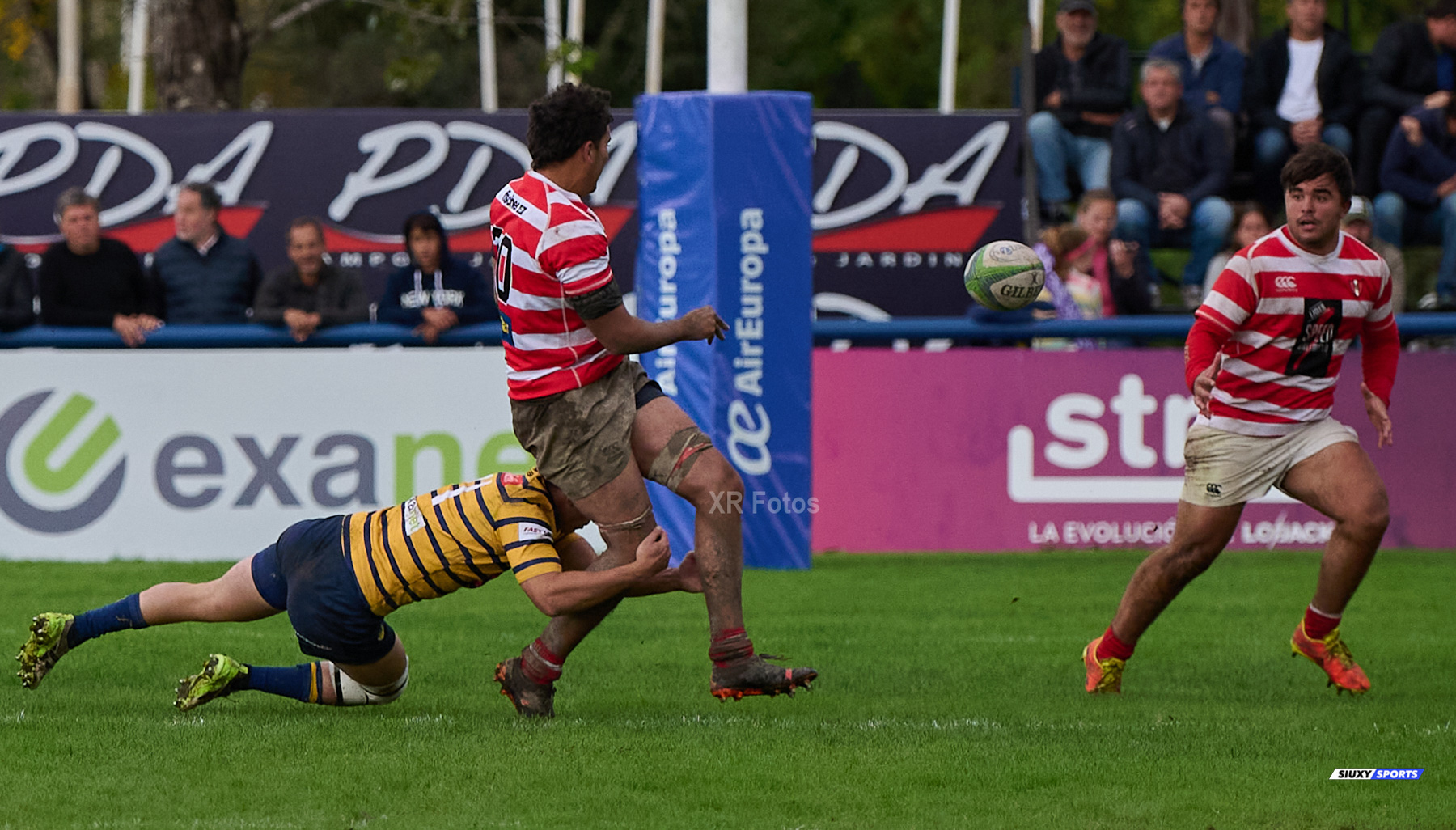  Club Regatas de Bella Vista - Asociación Alumni - Rugby - URBA 2024 - Top 12 Intermedia - Regatas BV (19) vs (26) Asociacion Alumni (#URBA24T12ALURBV14) Photo by: Ximena Rebecchi | Siuxy Sports 2024-04-27