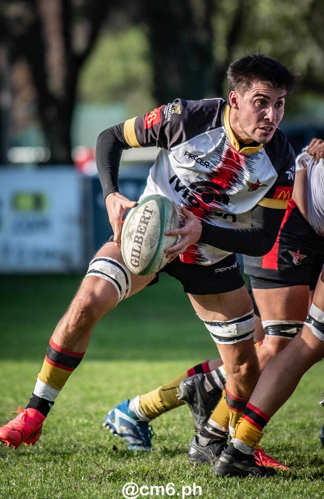 Universitario Rugby Club - Tucuman - Cardenales Rugby Club - Rugby - URT 2024 - Universitario (57) vs (6) Cardenales (#URT24UNICAR06) Photo by: Christian Mas | Siuxy Sports 2024-06-30