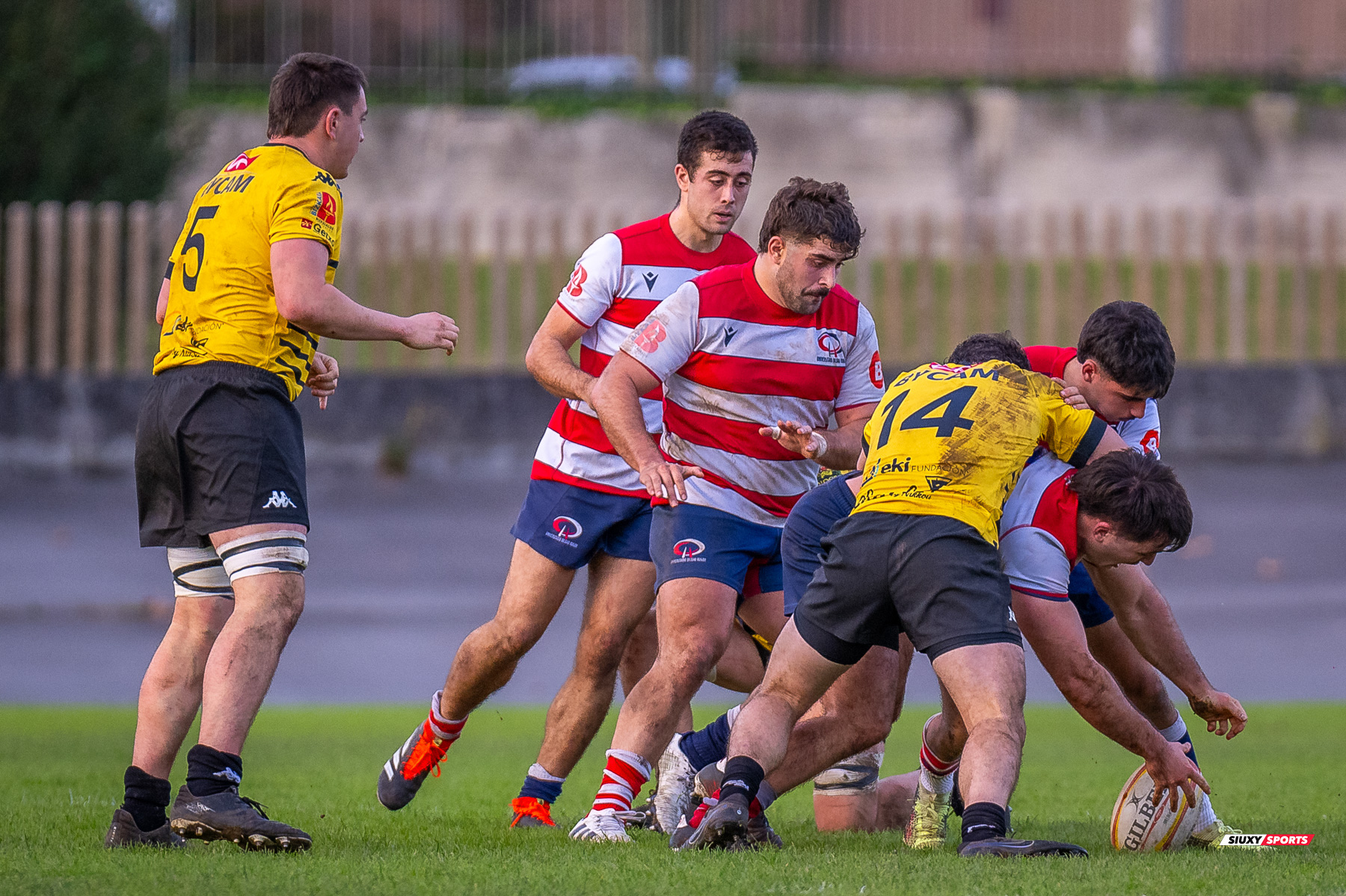  Getxo Artea Rugby Taldea - Universitario Bilbao Rugby - Rugby - FER 2024 - DHB - Getxo RT (35) vs (14) Universitario Bilbao Rugby (#FER24DHBGRTUBR11) Photo by: Fredy Monfoto | Siuxy Sports 2024-11-30