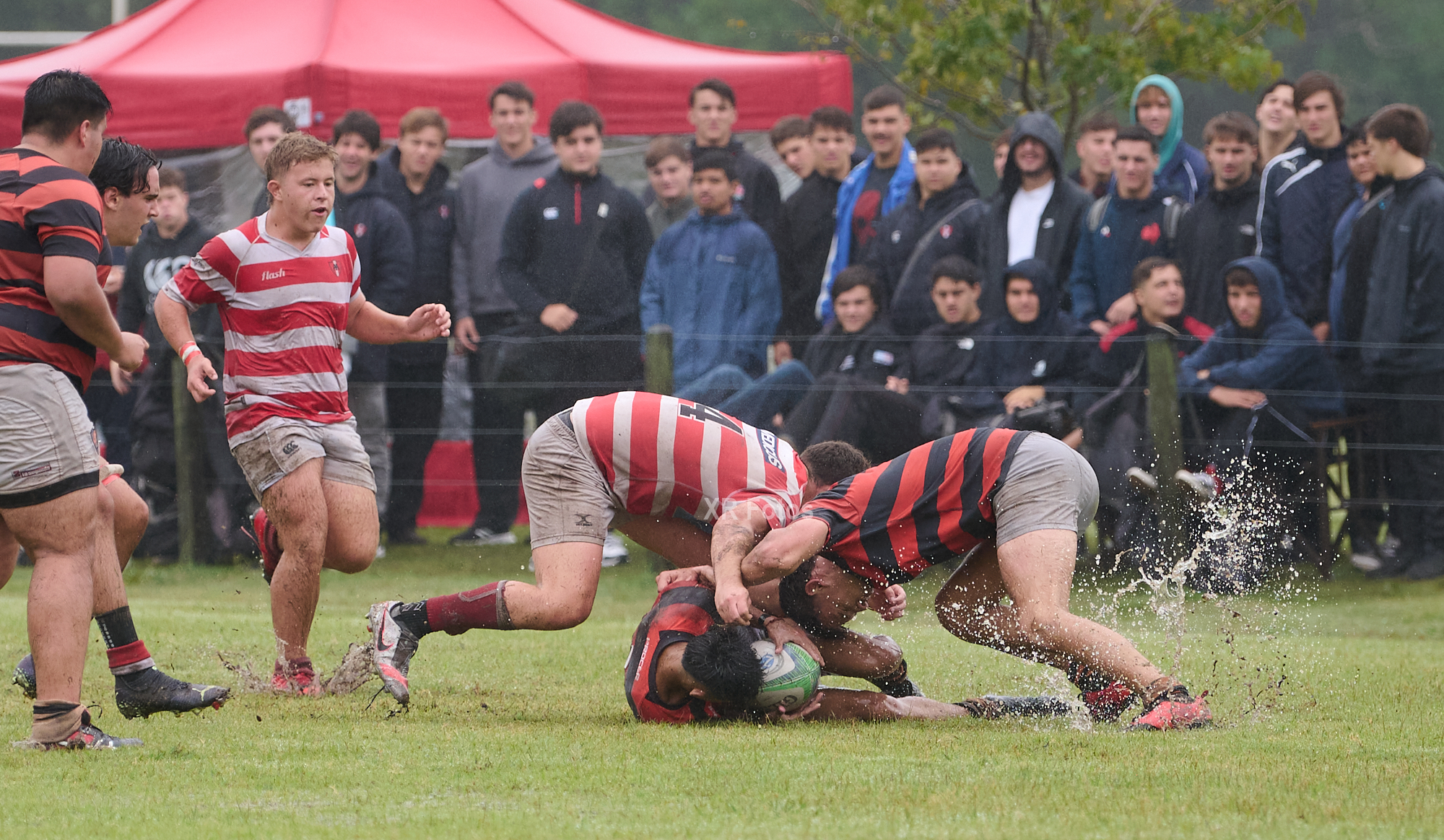  Asociación Alumni - Olivos Rugby Club - Rugby - URBA M19 - 2024 - Alumni vs Olivos RC (#URBA24M19AAORC04) Photo by: Ximena Rebecchi | Siuxy Sports 2024-04-14