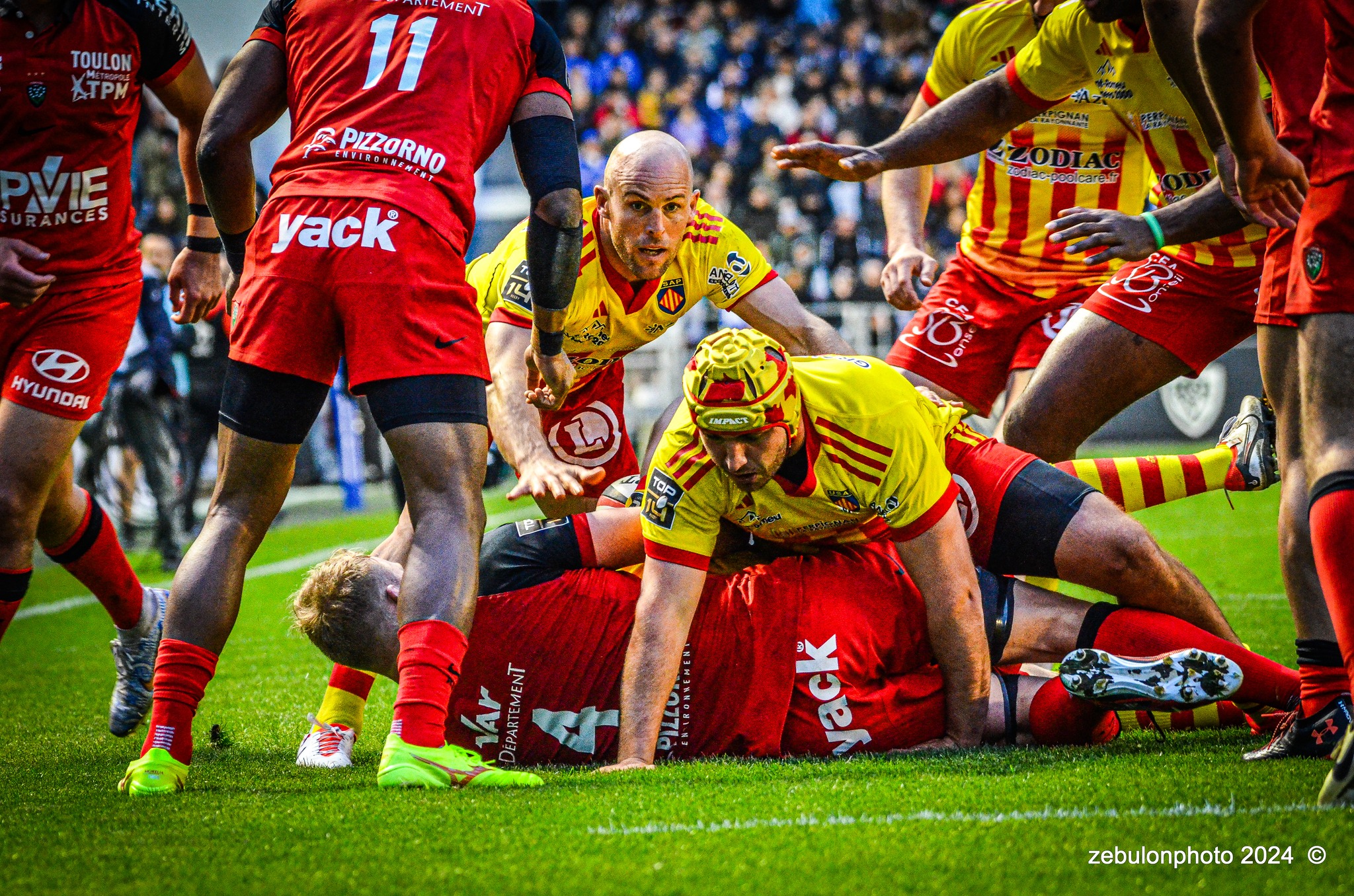 Mathieu ACÉBÈS -  RC Toulonnais - US Arlequins Perpignanais - Rugby - TOP 14 - Toulon (44) vs (22) Perpignan (#TOP1424RCTUSAP03) Photo by: Photo Zebulon | Siuxy Sports 2024-03-02