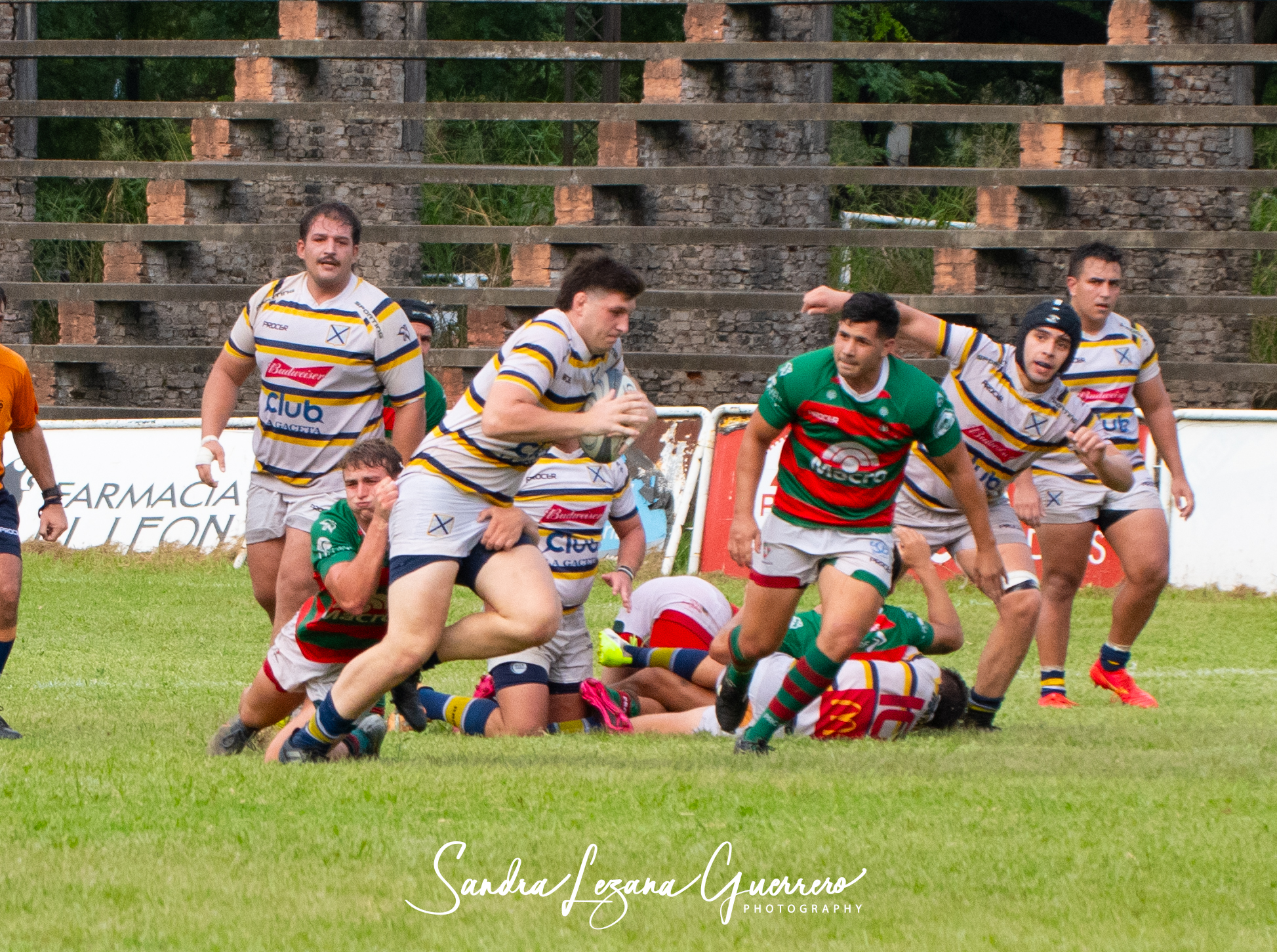  Tucumán Lawn Tennis Club - Huirapuca Social Club - Rugby - URT 2024 - Tucuman Lawn Tennis Club (41) vs (17) Huirapuca SC (#URT24TLTHUI03) Photo by: Sandra Lezana Guerrero | Siuxy Sports 2024-03-02