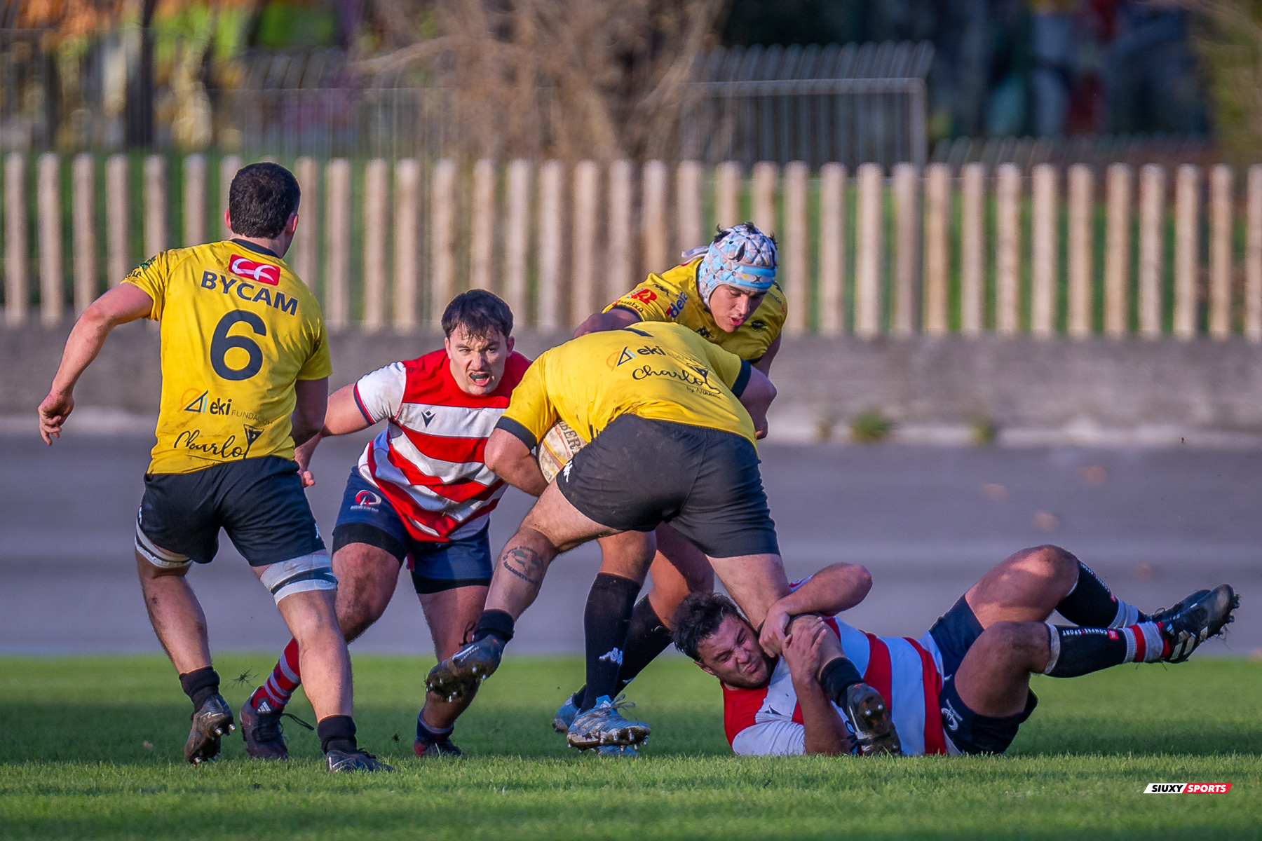  Getxo Artea Rugby Taldea - Universitario Bilbao Rugby - Rugby - FER 2024 - DHB - Getxo RT (35) vs (14) Universitario Bilbao Rugby (#FER24DHBGRTUBR11) Photo by: Fredy Monfoto | Siuxy Sports 2024-11-30