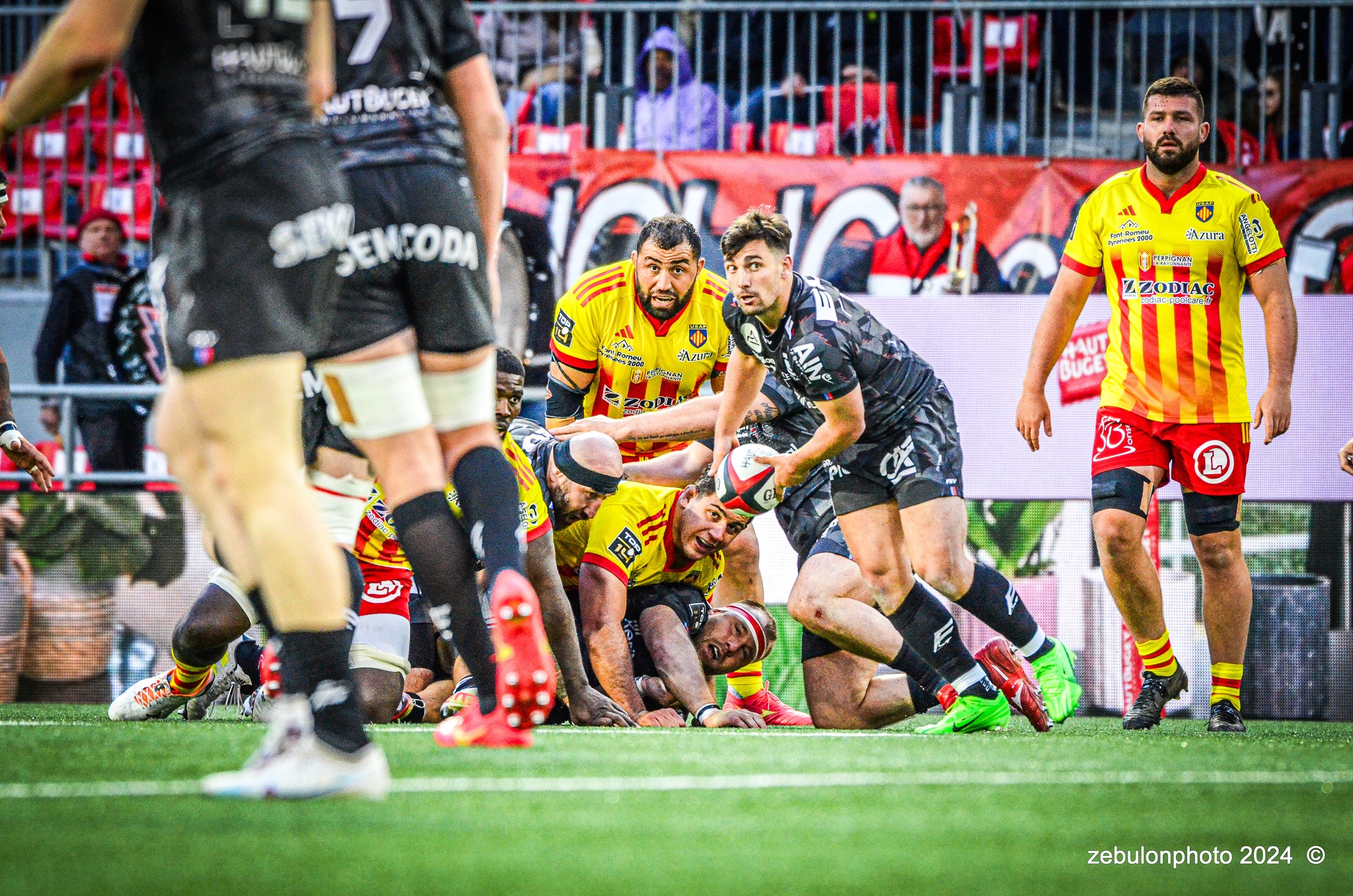  US Oyonnax Rugby - US Arlequins Perpignanais - Rugby - FFR - 2024 Top14 - Oyonnax (14) vs (15) USAP (#FFR24T14OYPP03) Photo by: Photo Zebulon | Siuxy Sports 2024-03-23