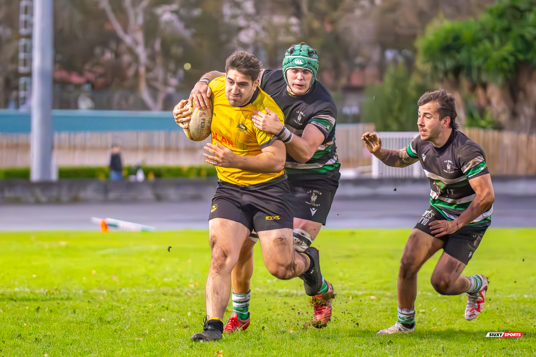 Gonzalo PEREZ AGRASAR -  Getxo Artea Rugby Taldea - La Única Rugby Taldea - Rugby - FER 2024 - DHB - Getxo RT (91) vs (0) La Unica RT (#FER24DHBGRTLUR11) Photo by: Fredy Monfoto | Siuxy Sports 2023-11-04