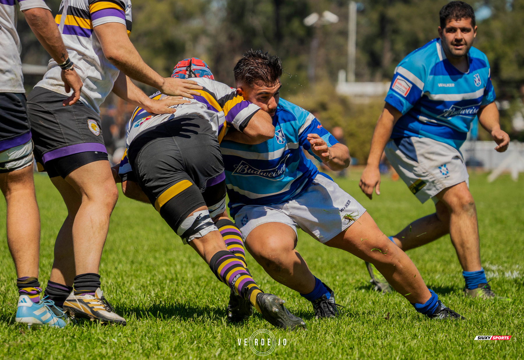  Luján Rugby Club - Club Atlético San Antonio de Padua - Rugby - URBA - 1C - Lujan RC vs CASA de Padua - Sep 14 (#URBA1CLRCPAD09) Photo by: Ignacio Verdejo | Siuxy Sports 2024-09-14