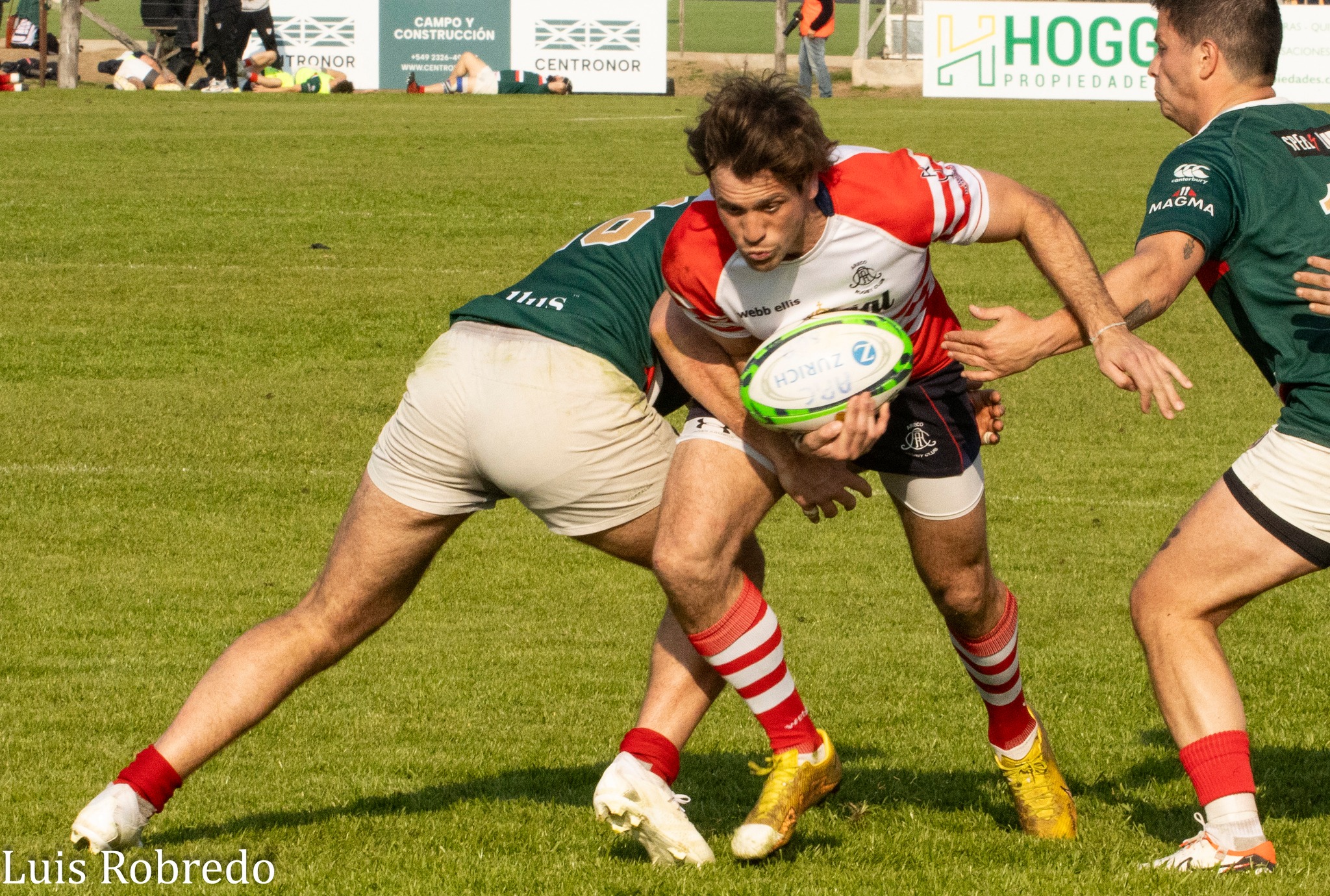  Areco Rugby Club - Sociedad Italiana de Tiro al Segno - Rugby - URBA 2024 - 1C - Areco (14) vs (59) SITAS (#URBA241CARESIT08) Photo by: Luis Robredo | Siuxy Sports 2024-08-17
