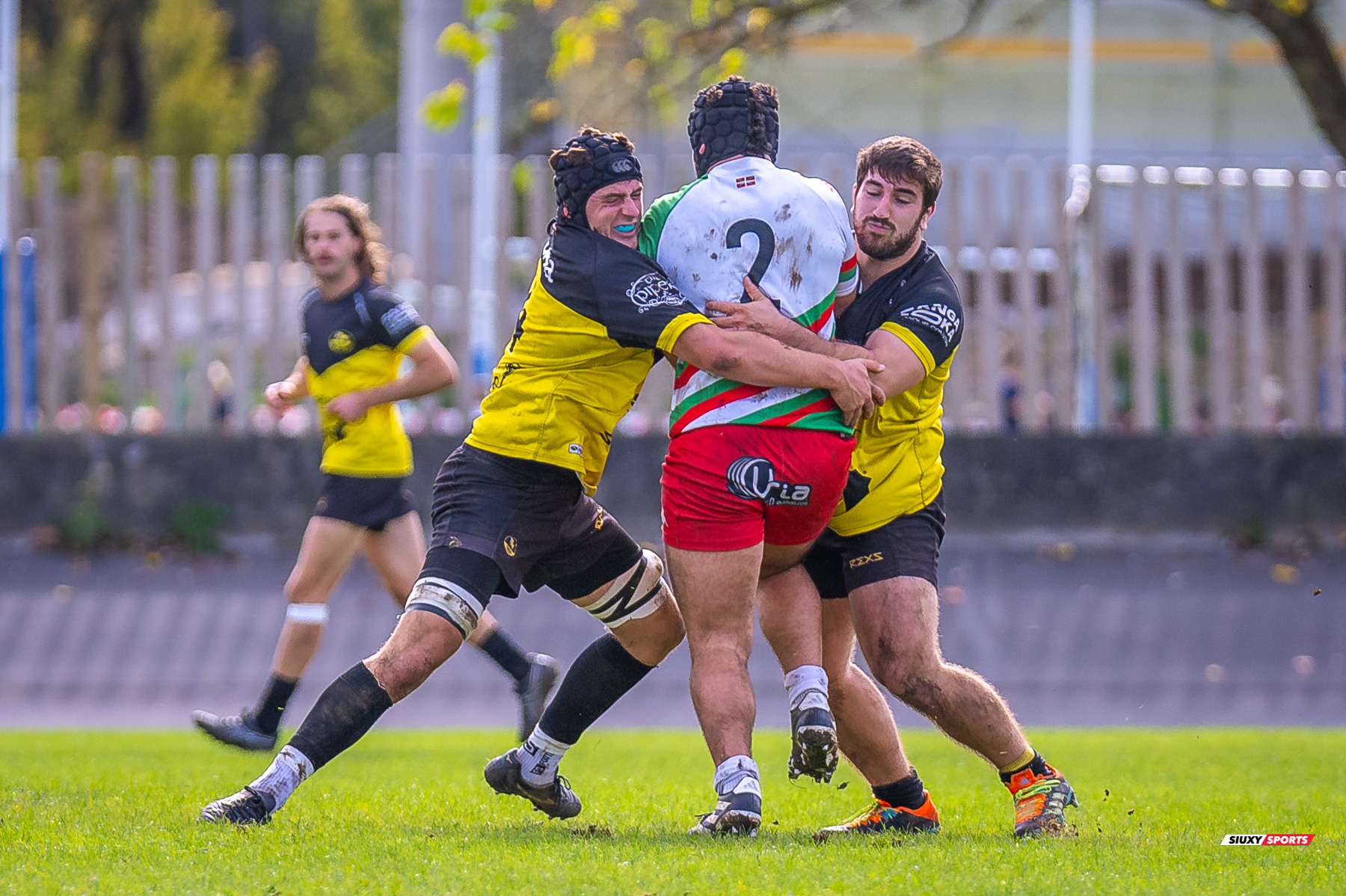  Getxo Artea Rugby Taldea - Hernani Club Rugby Elkartea - Rugby - FER 2024 - Getxo Artea Rugby Taldea (41) vs (8) Hernani Club Rugby Elkartea  (#FER24GETHER10) Photo by: Fredy Monfoto | Siuxy Sports 2024-10-20