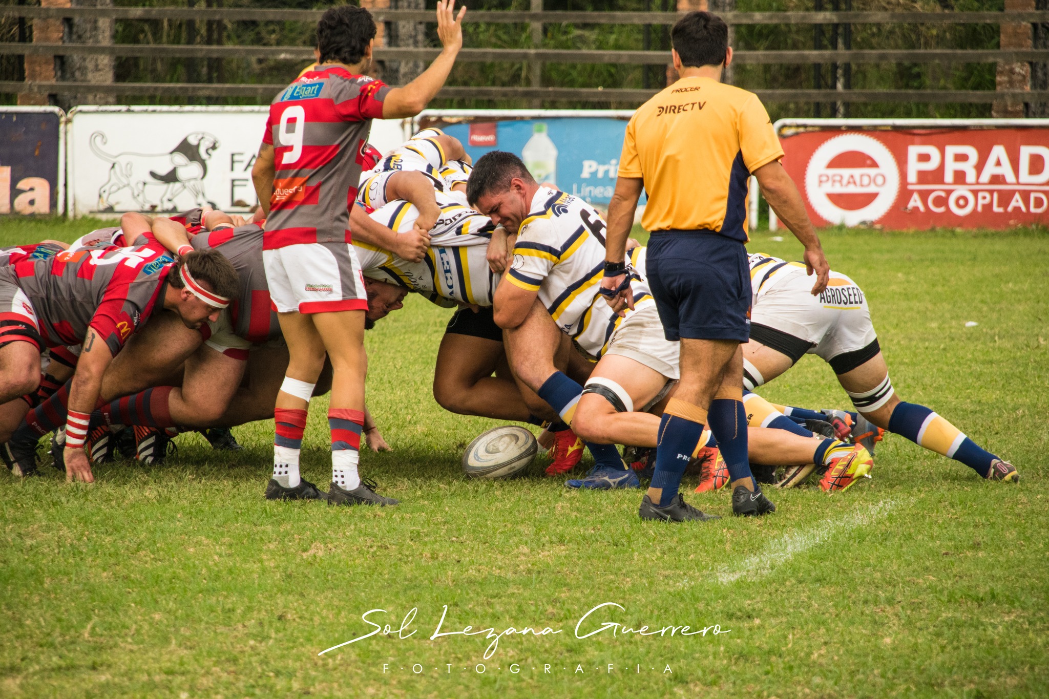  Tucumán Lawn Tennis Club - Lince Rugby Club - Rugby - URT 2024 - Tucuman Lawn Tennis Club (52) vs (27) Lince Rugby Club (#URT24TLTCLRC04) Photo by: Sandra Lezana Guerrero | Siuxy Sports 2024-04-20
