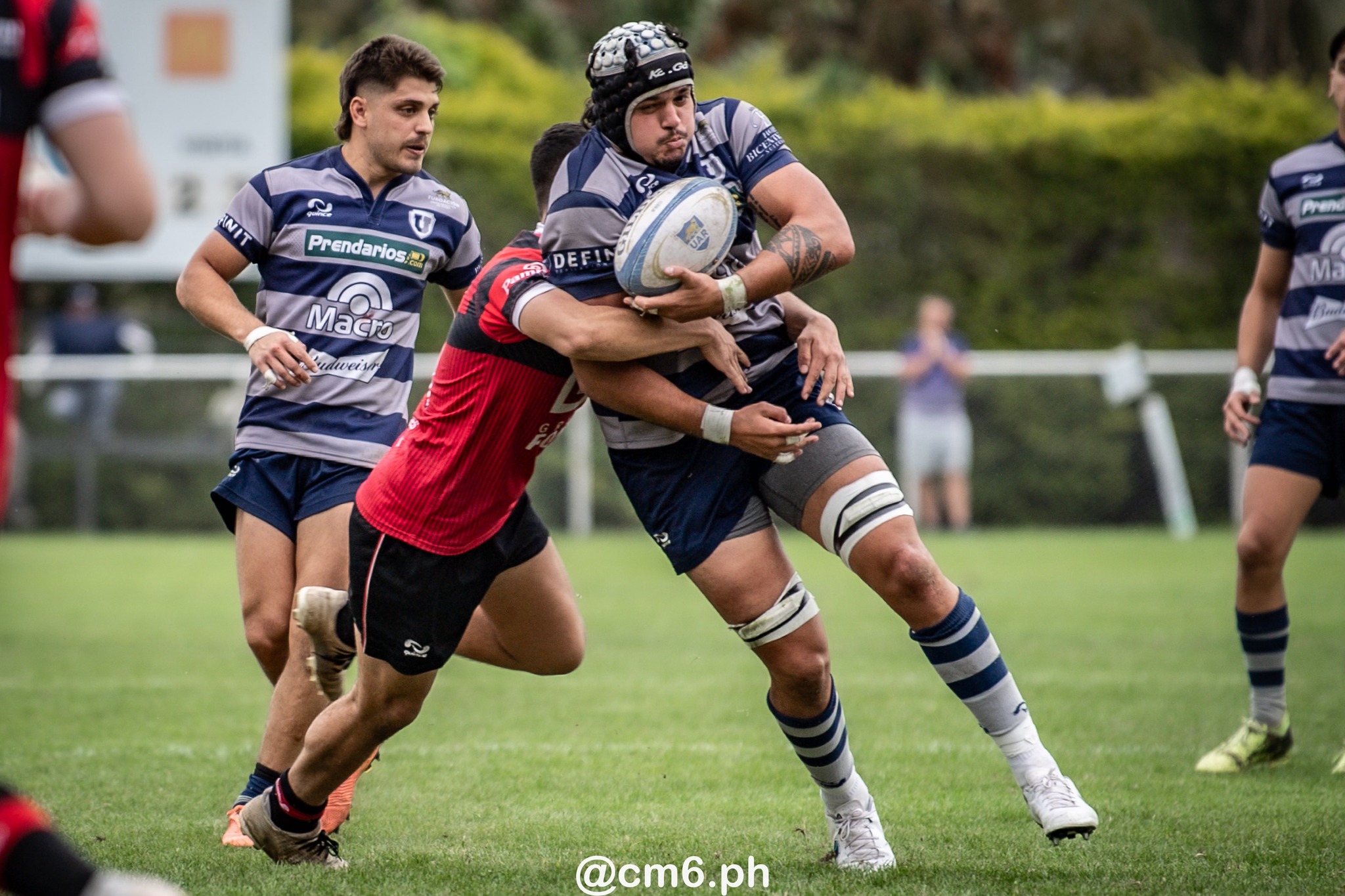  Universitario Rugby Club - Tucuman - San Martin Rugby Club - Rugby - Torneo del Interior 2023 - Universitario (Tucuman) vs San Martin (Cordoba) (#TDI23UNISM09) Photo by: Christian Mas | Siuxy Sports 2023-09-30
