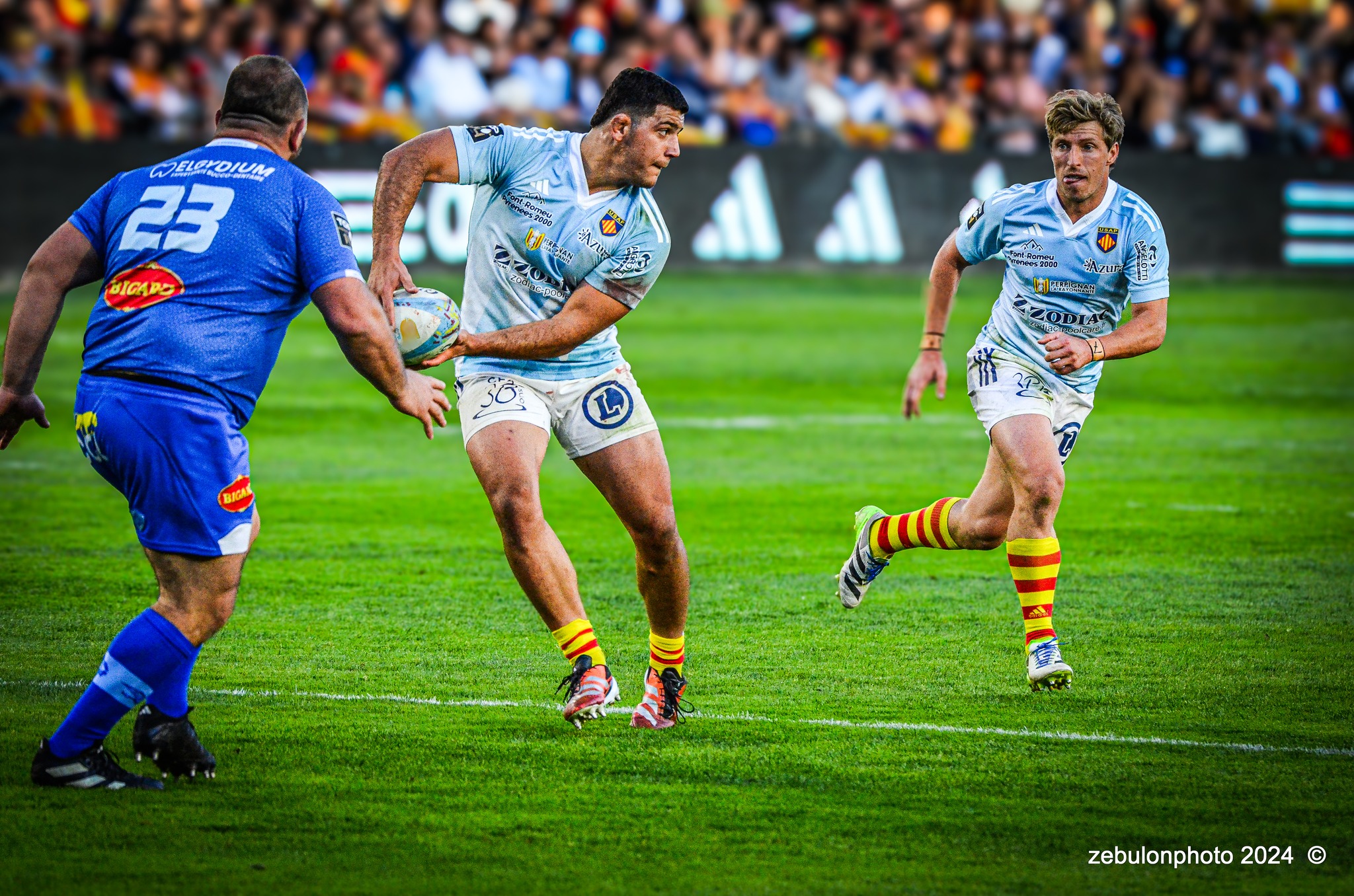  US Arlequins Perpignanais - Castres Olympique - Rugby - FFR 2024 - Top14 - USAP (43) vs (12) Castres  (#FFR24TOPPERCAS03) Photo by: Photo Zebulon | Siuxy Sports 2024-03-30