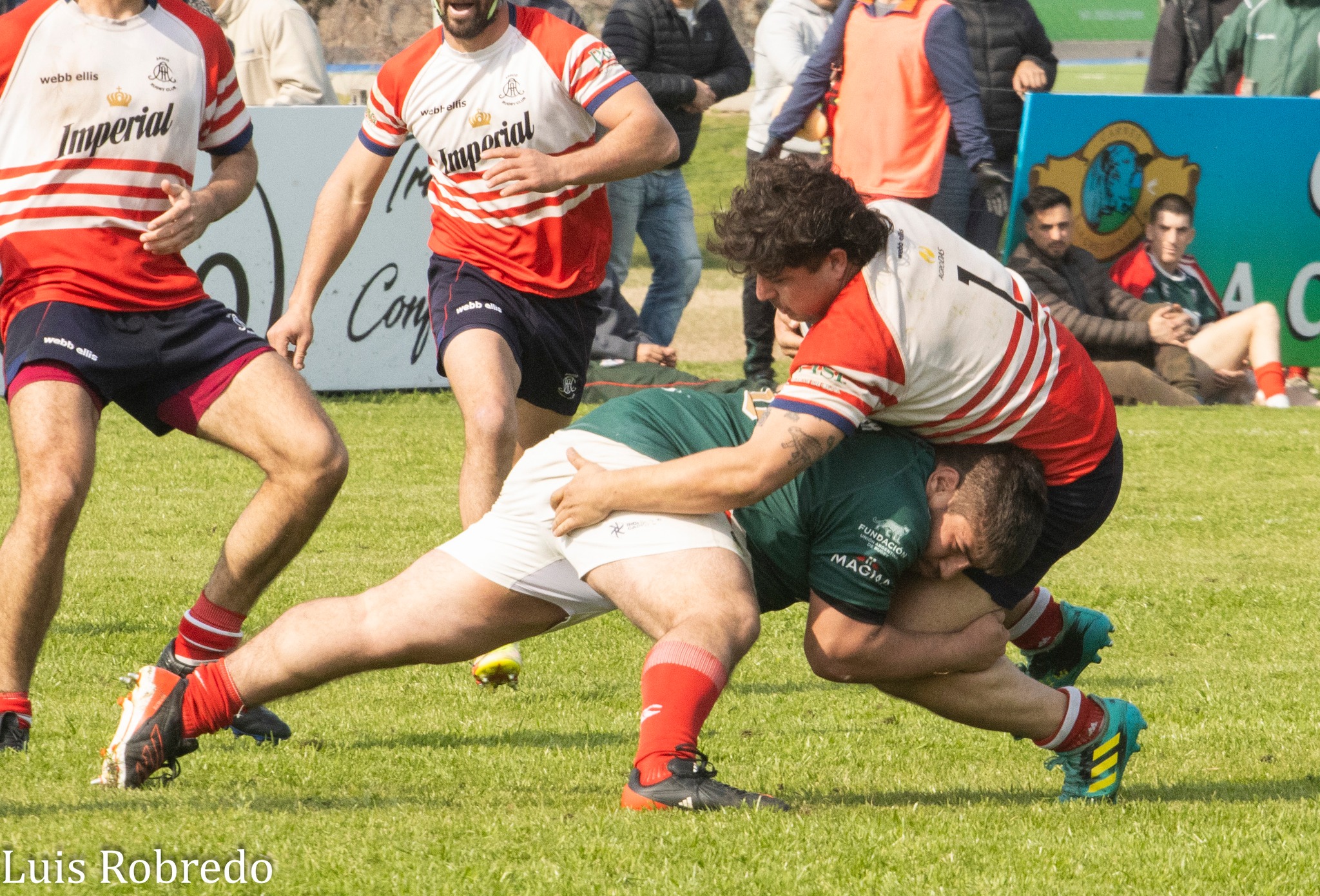  Areco Rugby Club - Sociedad Italiana de Tiro al Segno - Rugby - URBA 2024 - 1C - Areco (14) vs (59) SITAS (#URBA241CARESIT08) Photo by: Luis Robredo | Siuxy Sports 2024-08-17
